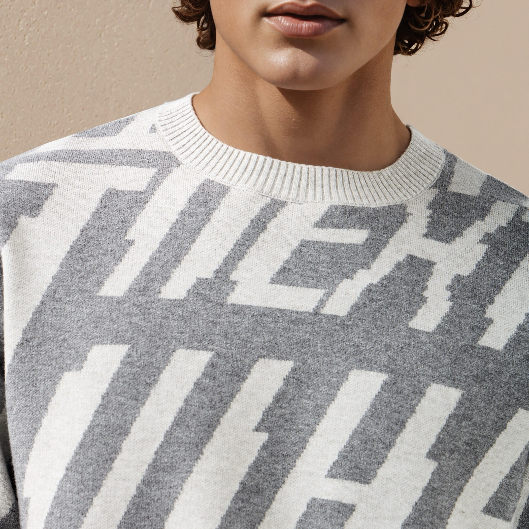 Men Crew Neck Printed Sweater-men-clothing-sweatersandpullovers-image-5