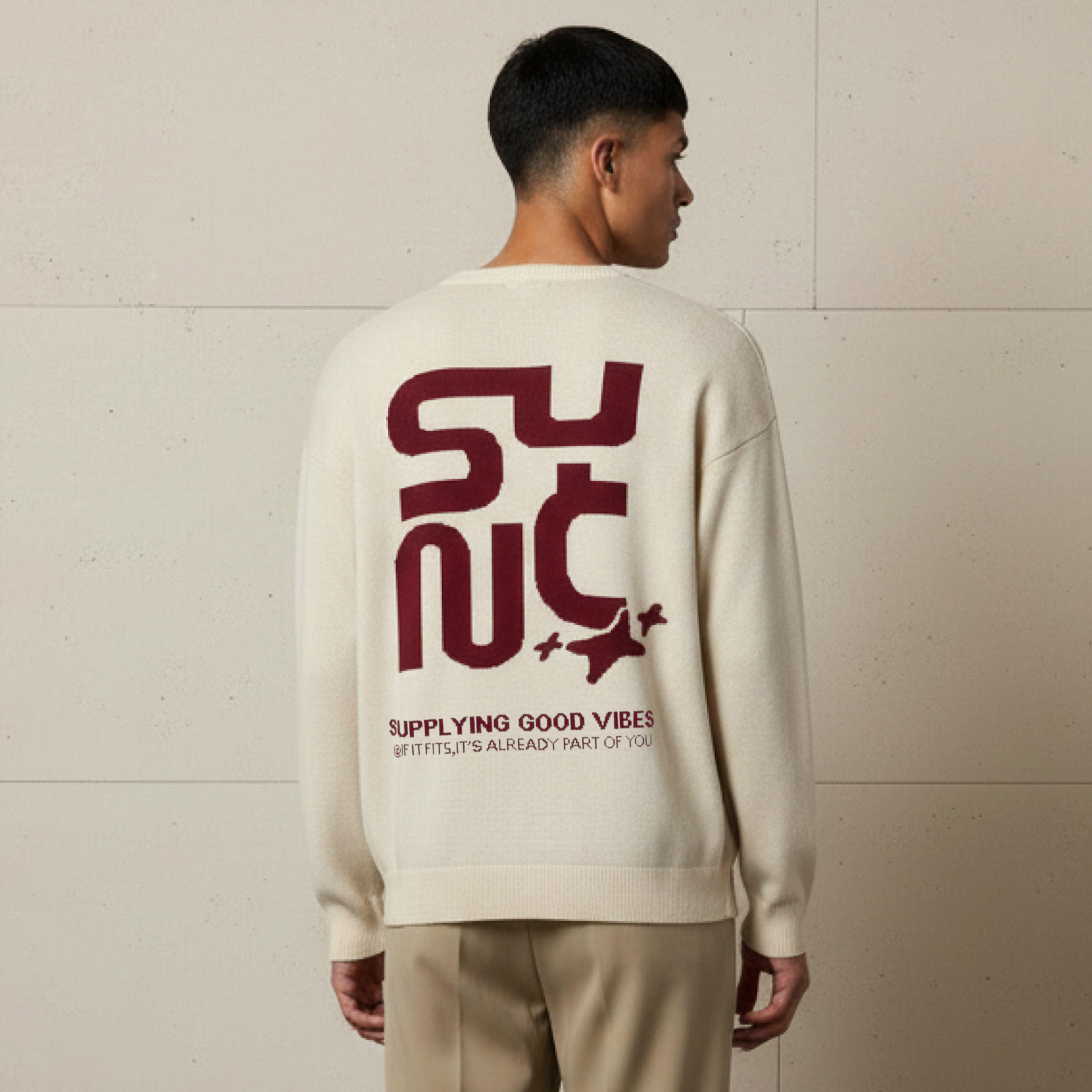 Men Crew Neck Jacquard Sweater-men-clothing-sweatersandpullovers-image-3