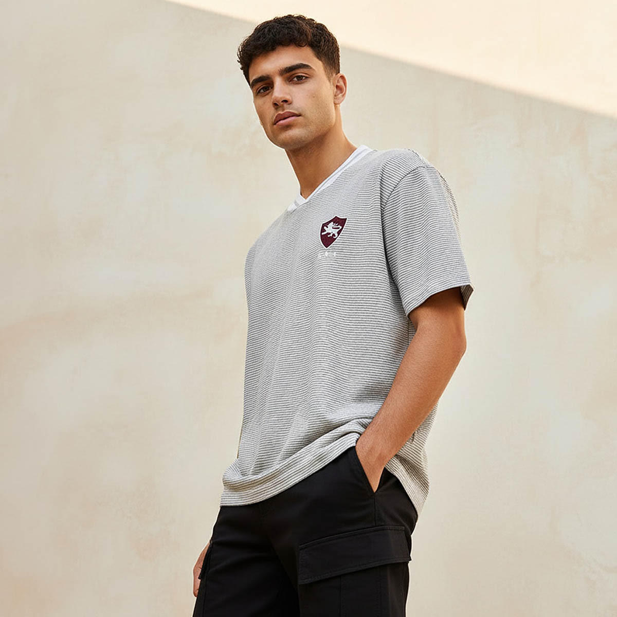 Men Regular Fit V-neck Short Sleeves Textured T-shirt-men-clothing-tshirtsandpolos-tshirts-image-1