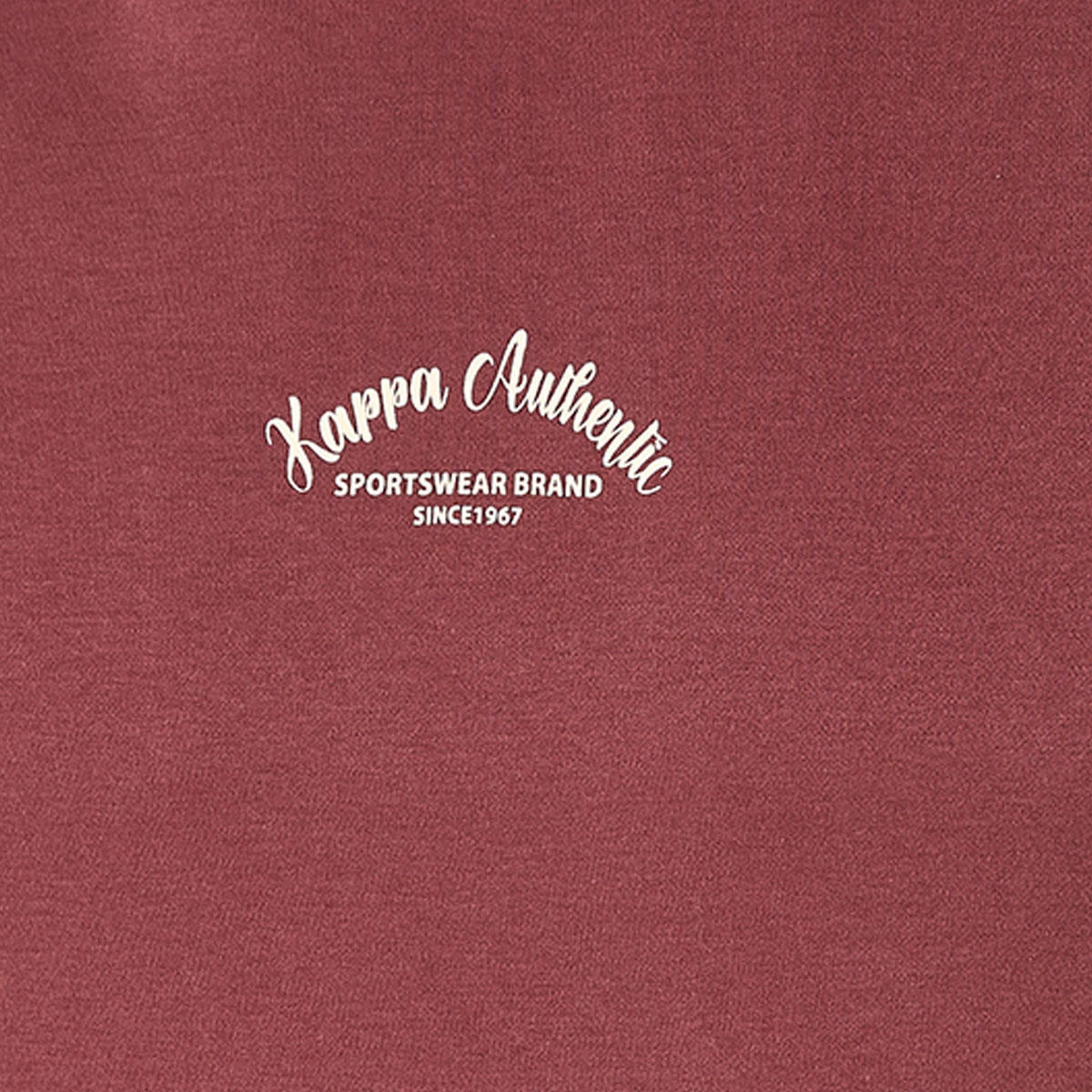 Kappa Logo Print T-shirt-men-clothing-sportswearandactivewear-tshirtsandpolos-image-2