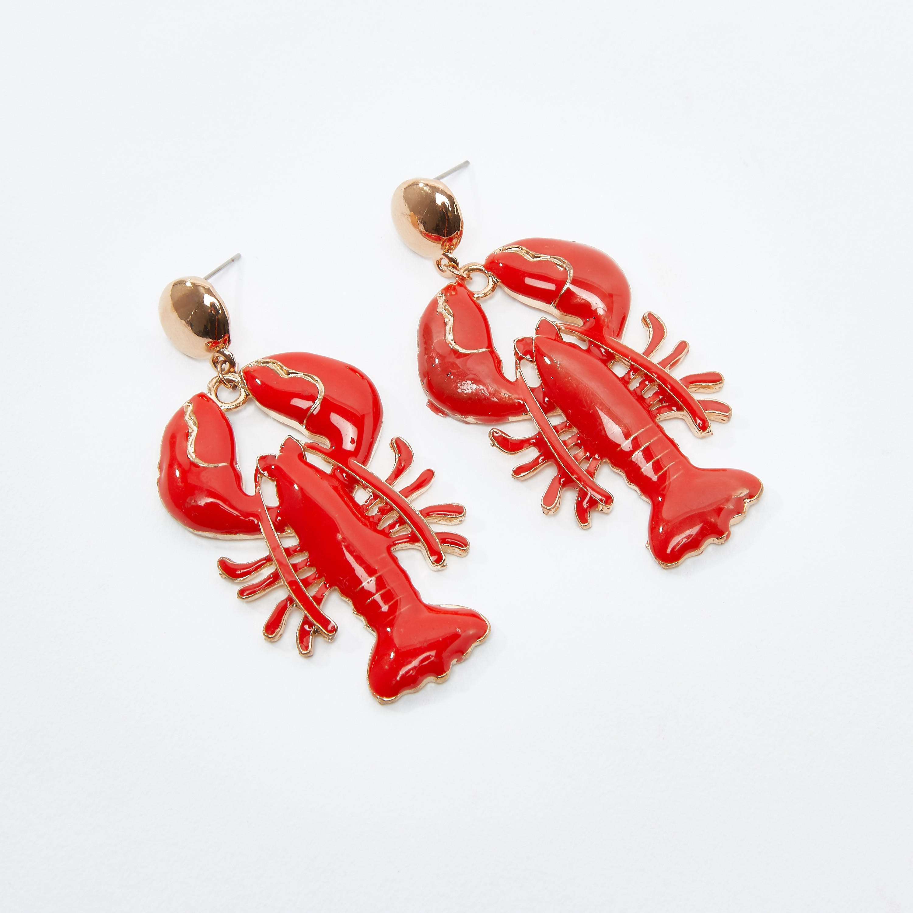 Dangling Earrings with Pushback Closure-women-watchesandjewellery-jewellery-earrings-image-1