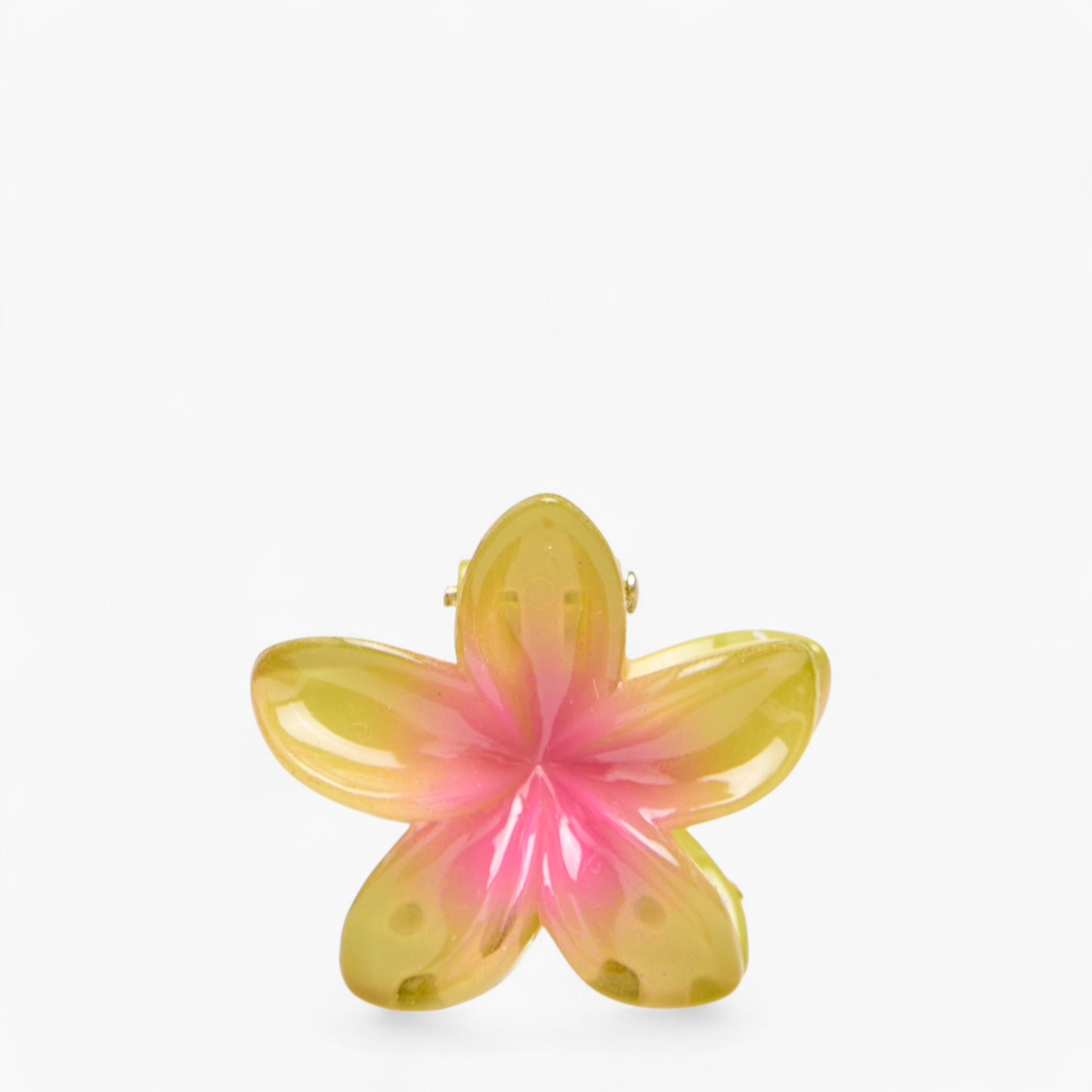 طقم مشابك شعر 8 قطع بتصميم زهرة-women-hairaccessories-clamps-image-3