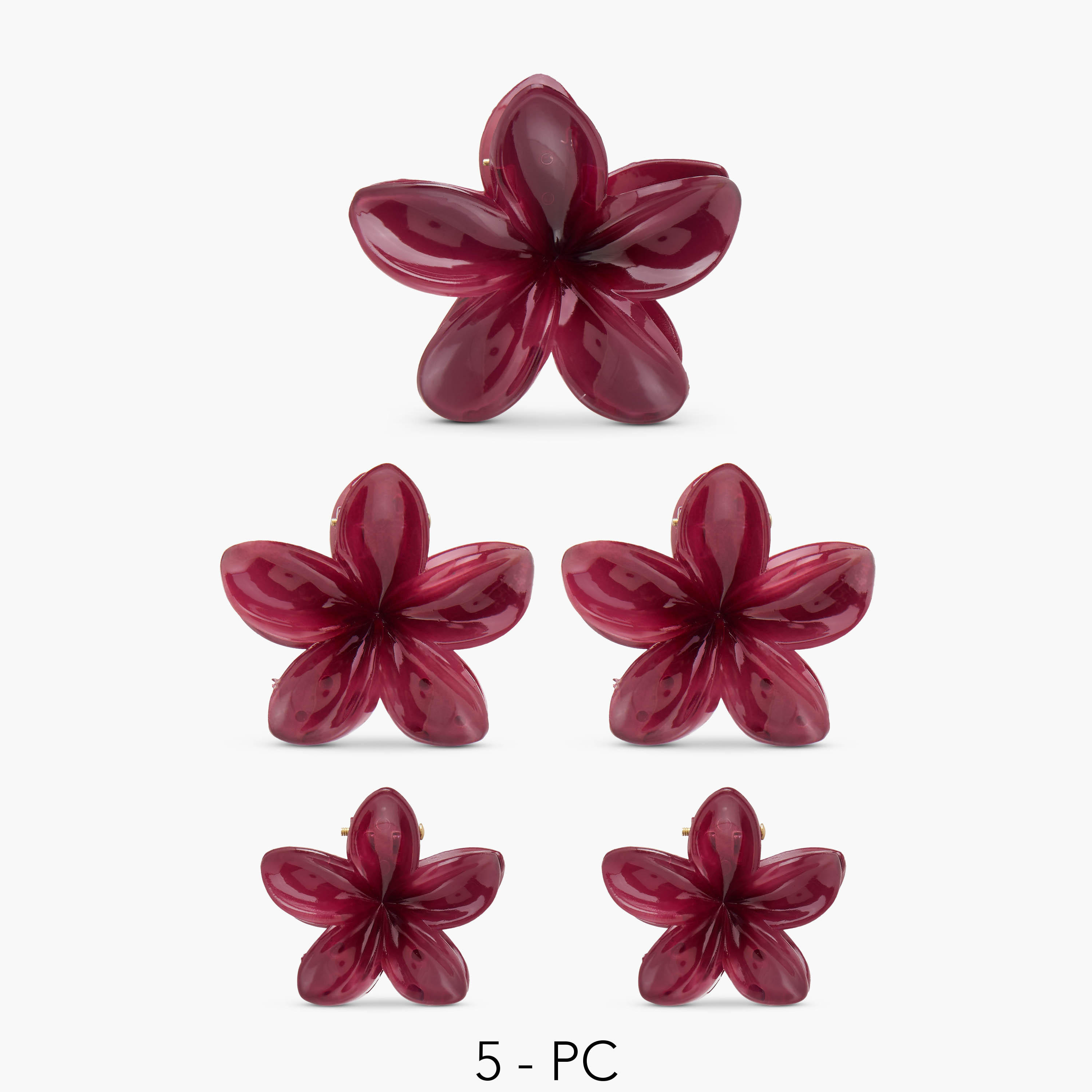 مشابك شعر بتصميم زهري - طقم من 5 قطع-women-hairaccessories-clamps-image-1