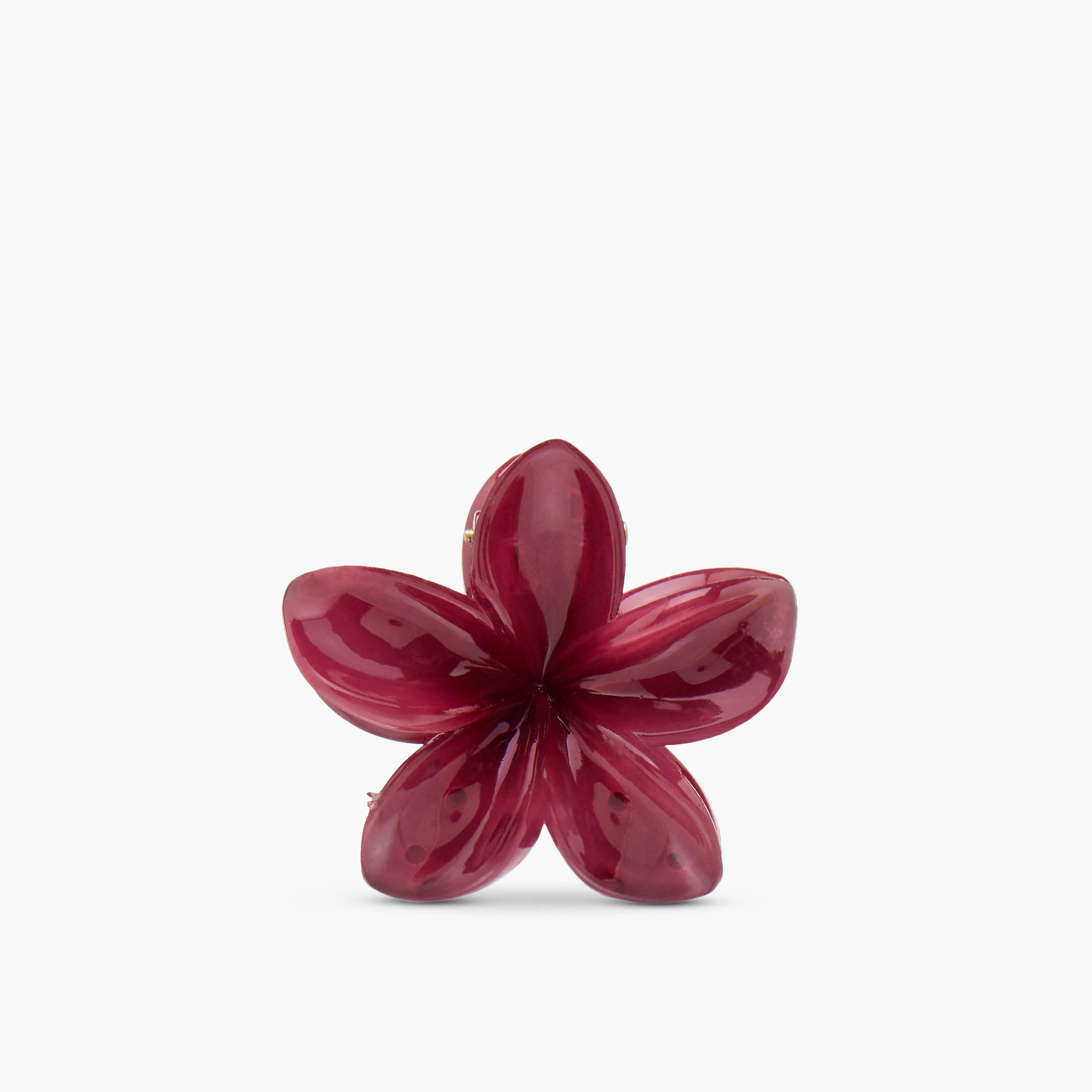 مشابك شعر بتصميم زهري - طقم من 5 قطع-women-hairaccessories-clamps-image-4