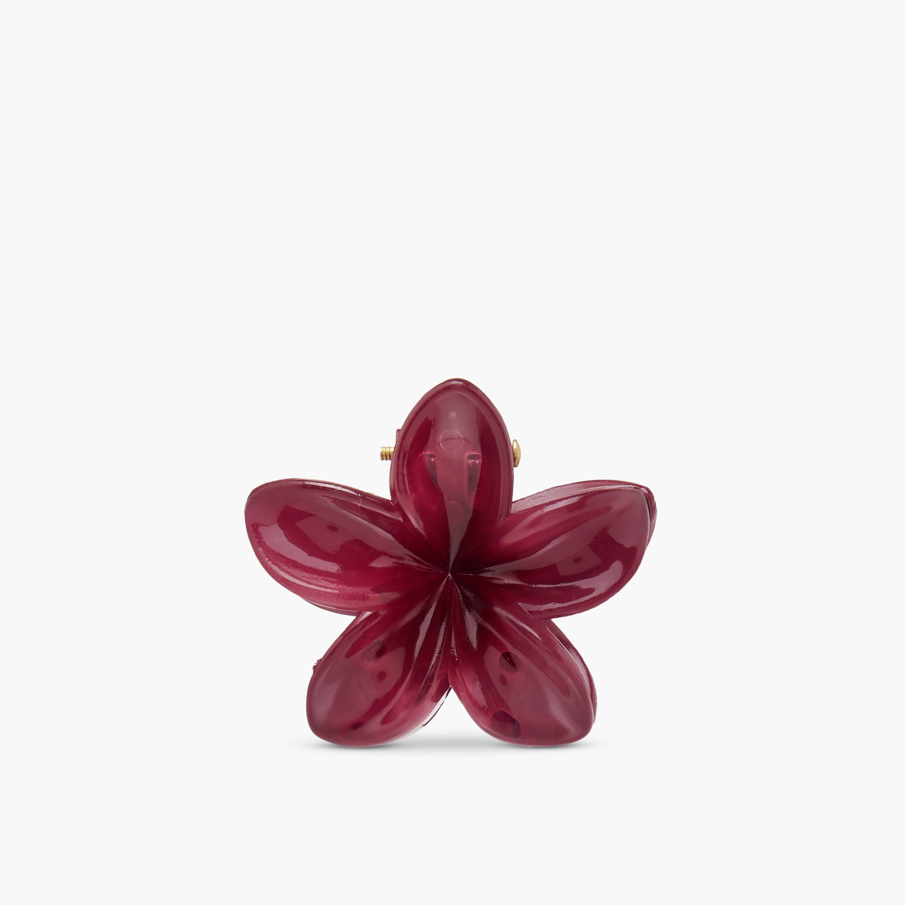 مشابك شعر بتصميم زهري - طقم من 5 قطع-women-hairaccessories-clamps-image-5