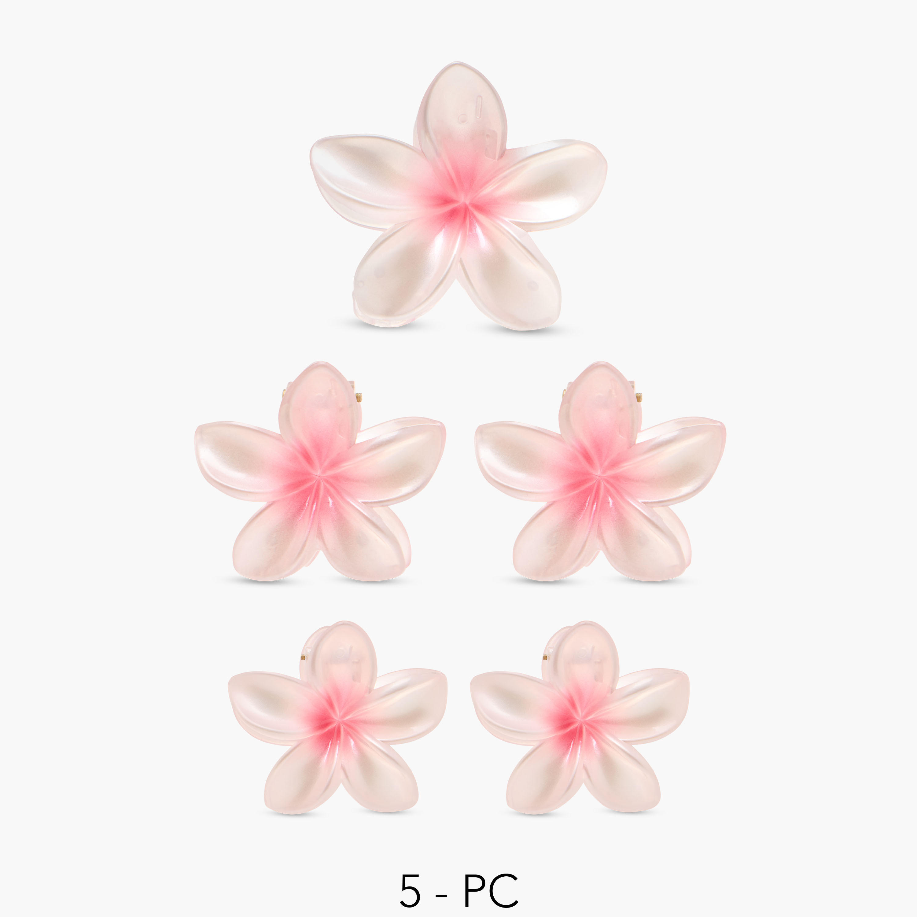 طقم مشابك شعر زهرية عدد 5-women-hairaccessories-clamps-image-7