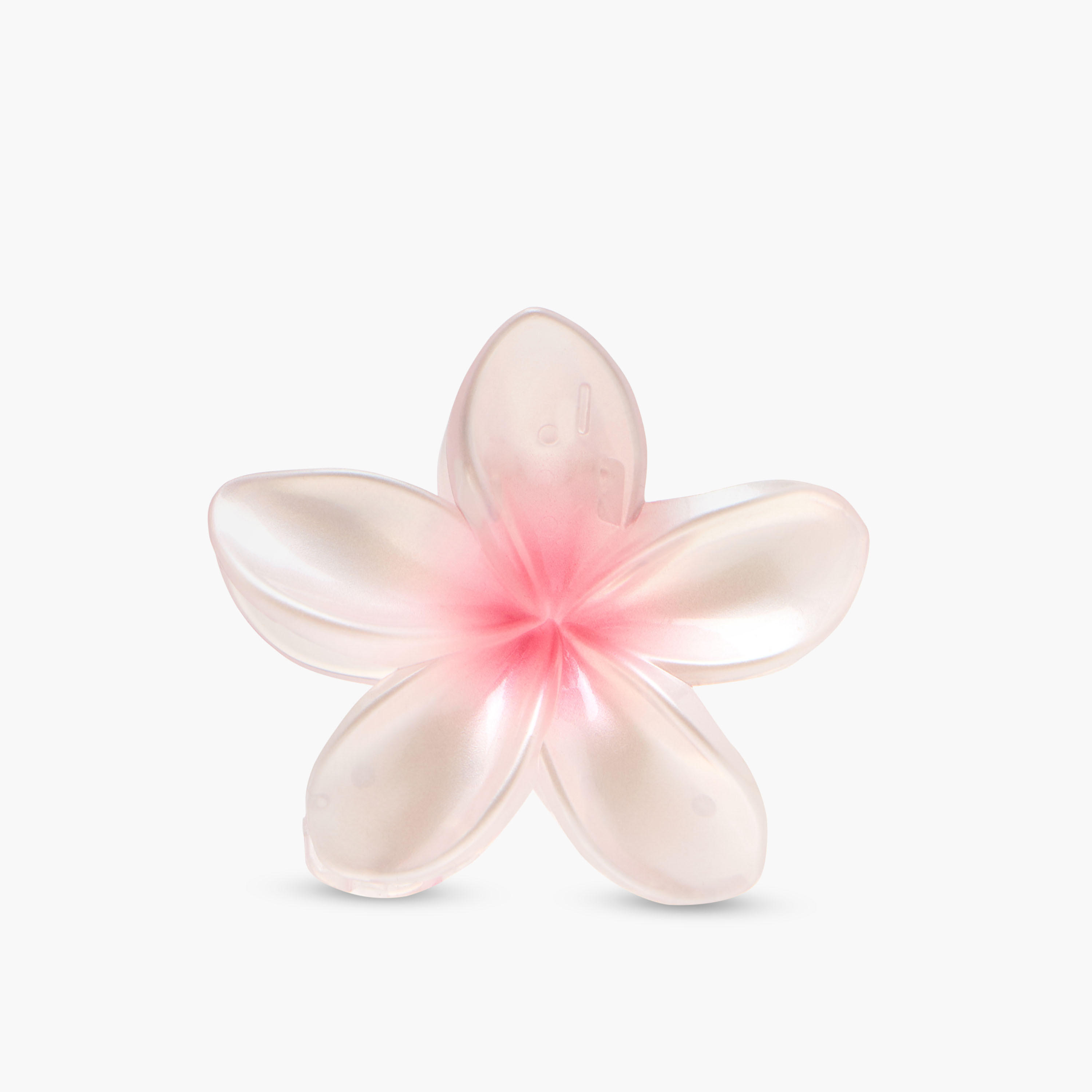 طقم مشابك شعر زهرية عدد 5-women-hairaccessories-clamps-image-5