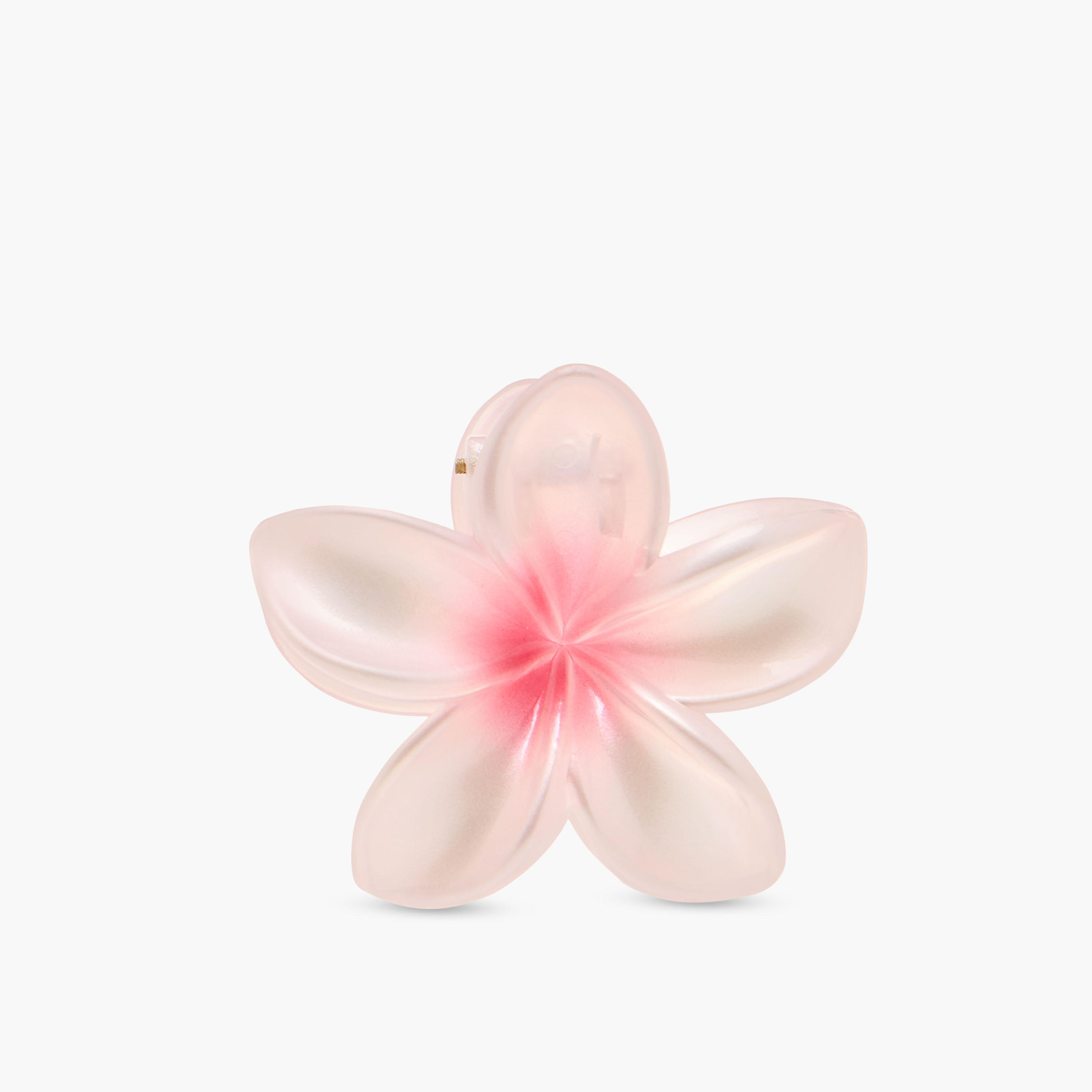 طقم مشابك شعر زهرية عدد 5-women-hairaccessories-clamps-image-4