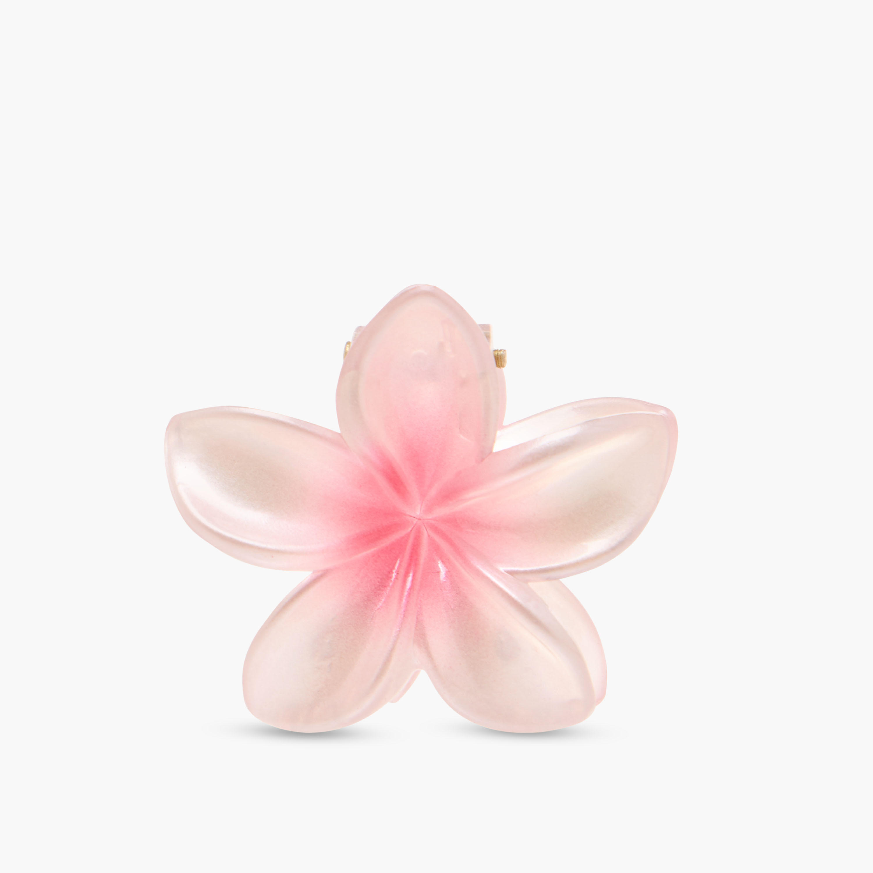 طقم مشابك شعر زهرية عدد 5-women-hairaccessories-clamps-image-3