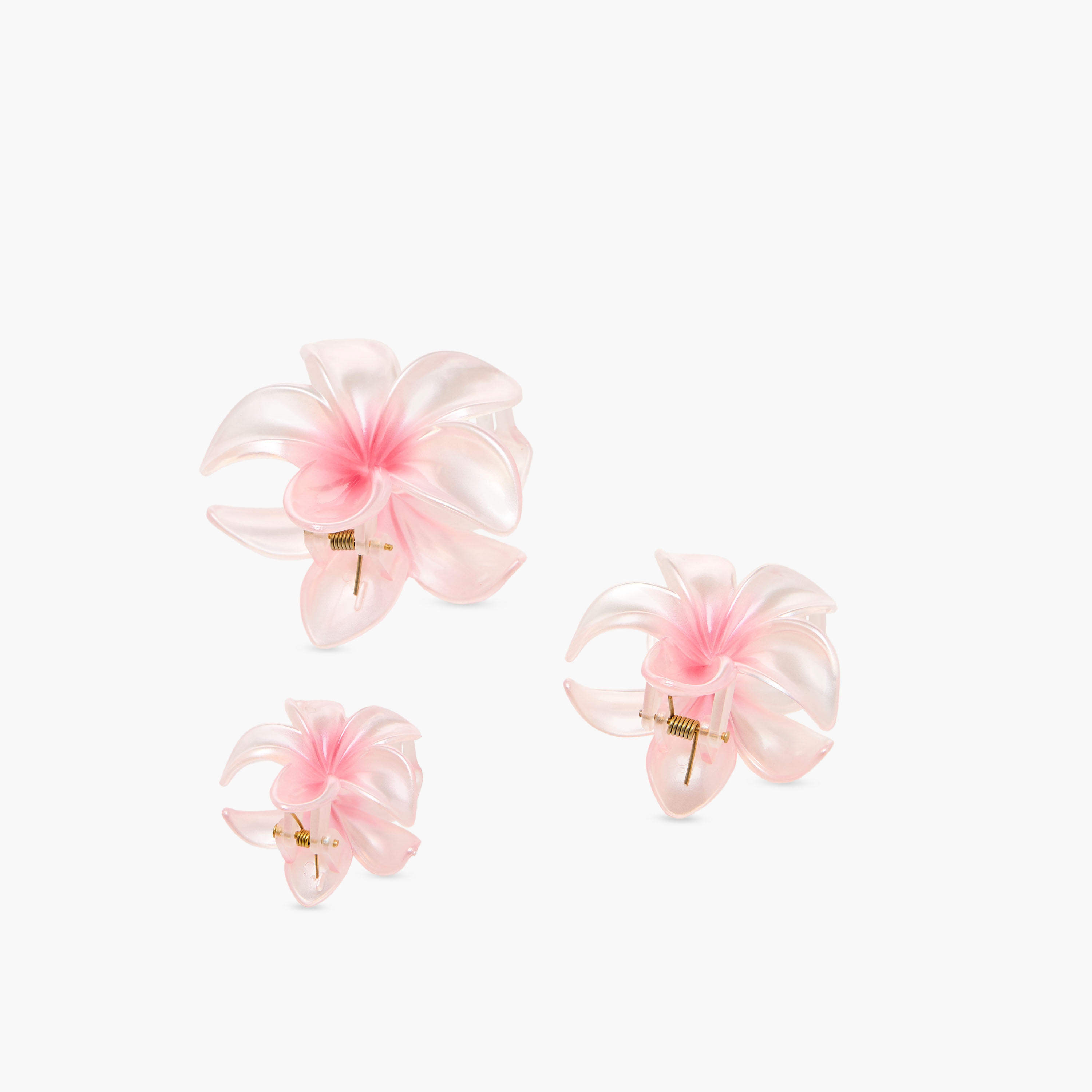 طقم مشابك شعر زهرية عدد 5-women-hairaccessories-clamps-image-2