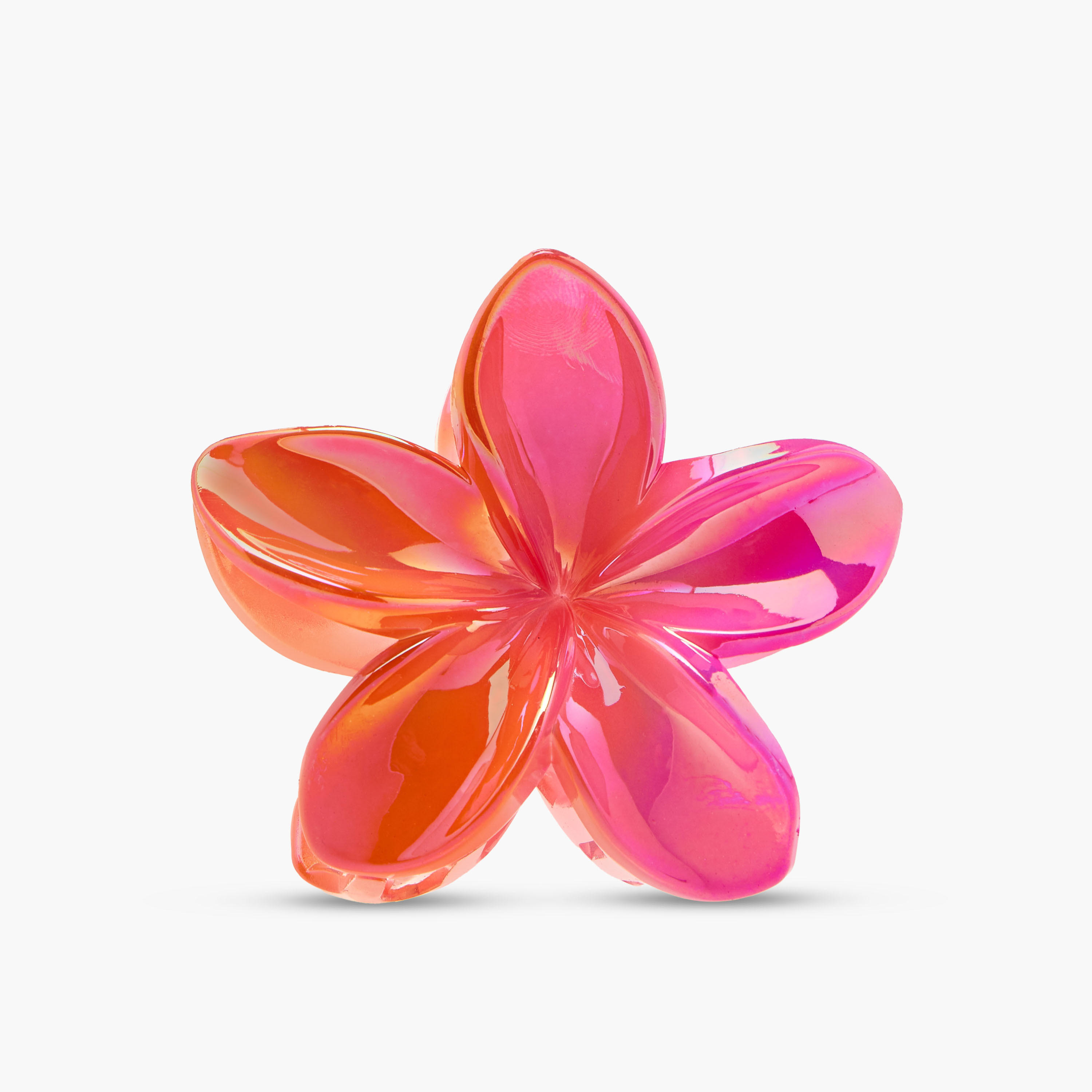 مجموعة مشابك شعر زهرية عدد 5-women-hairaccessories-clamps-image-3