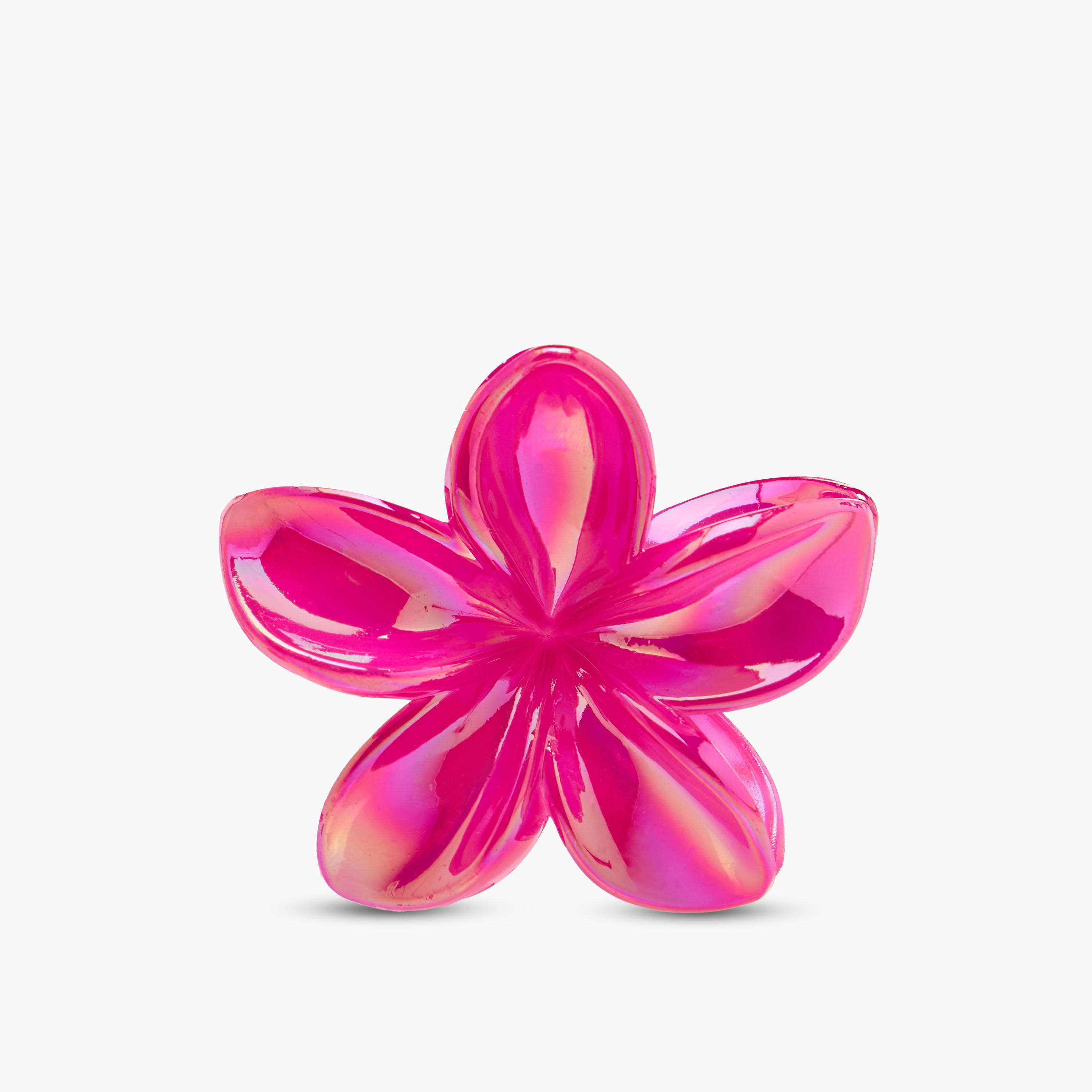 مجموعة مشابك شعر زهرية عدد 5-women-hairaccessories-clamps-image-4