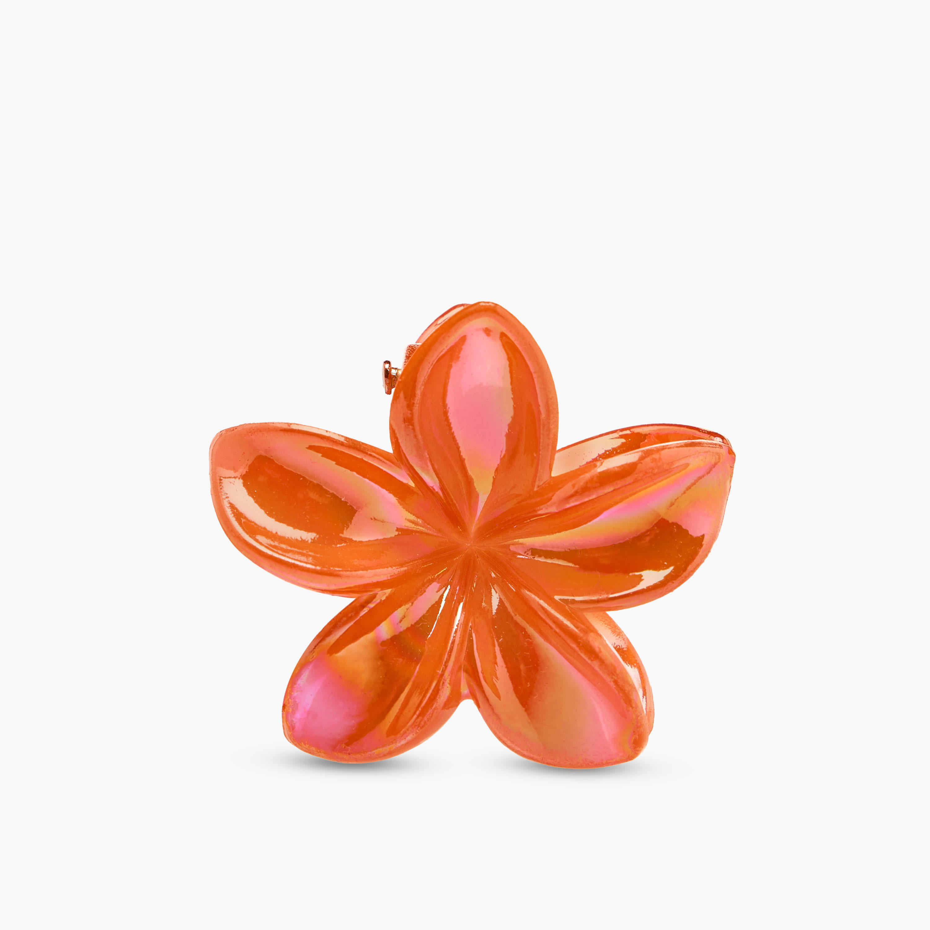 مجموعة مشابك شعر زهرية عدد 5-women-hairaccessories-clamps-image-5
