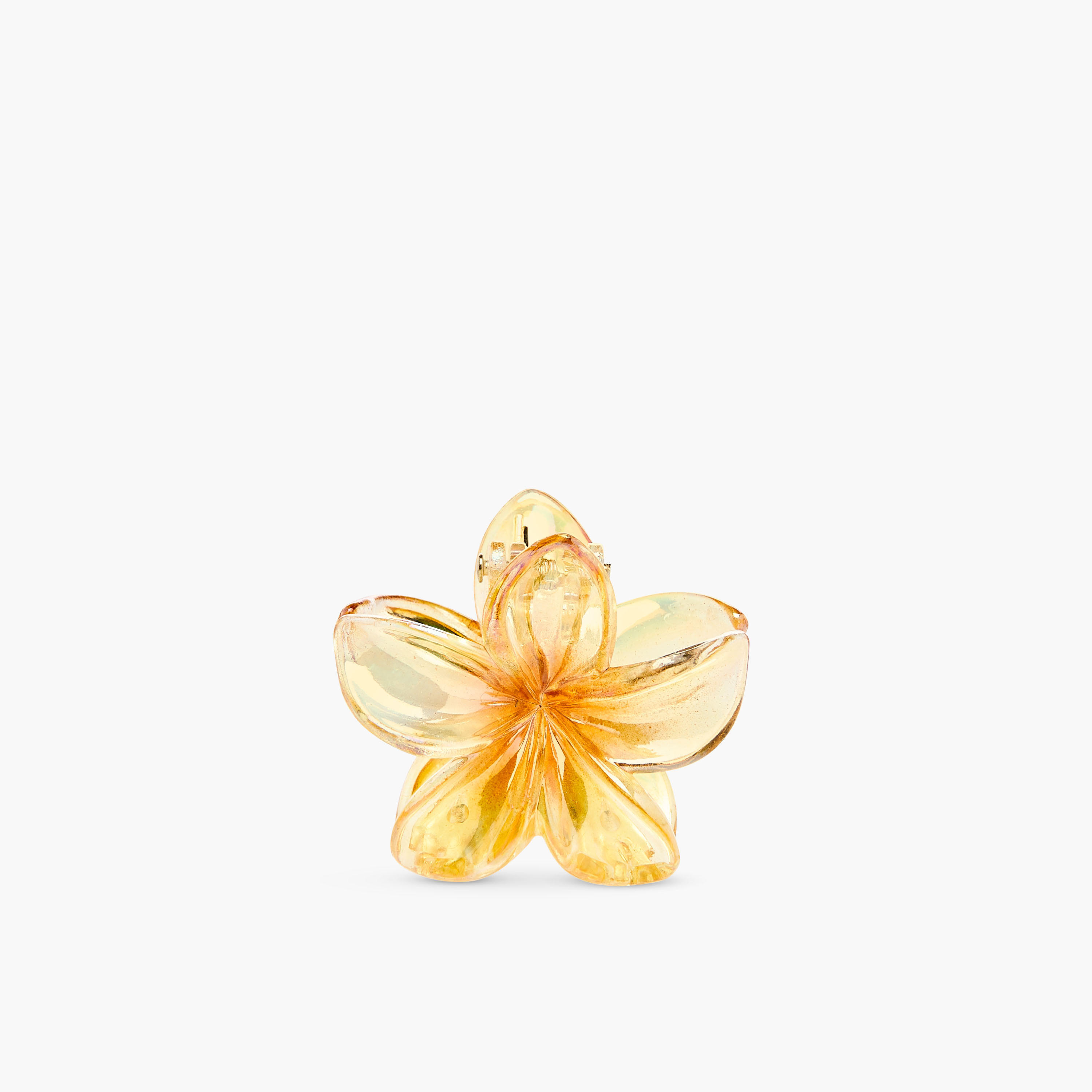 مشبك شعر على شكل زهرة - طقم 5 قطع-women-hairaccessories-clamps-image-5