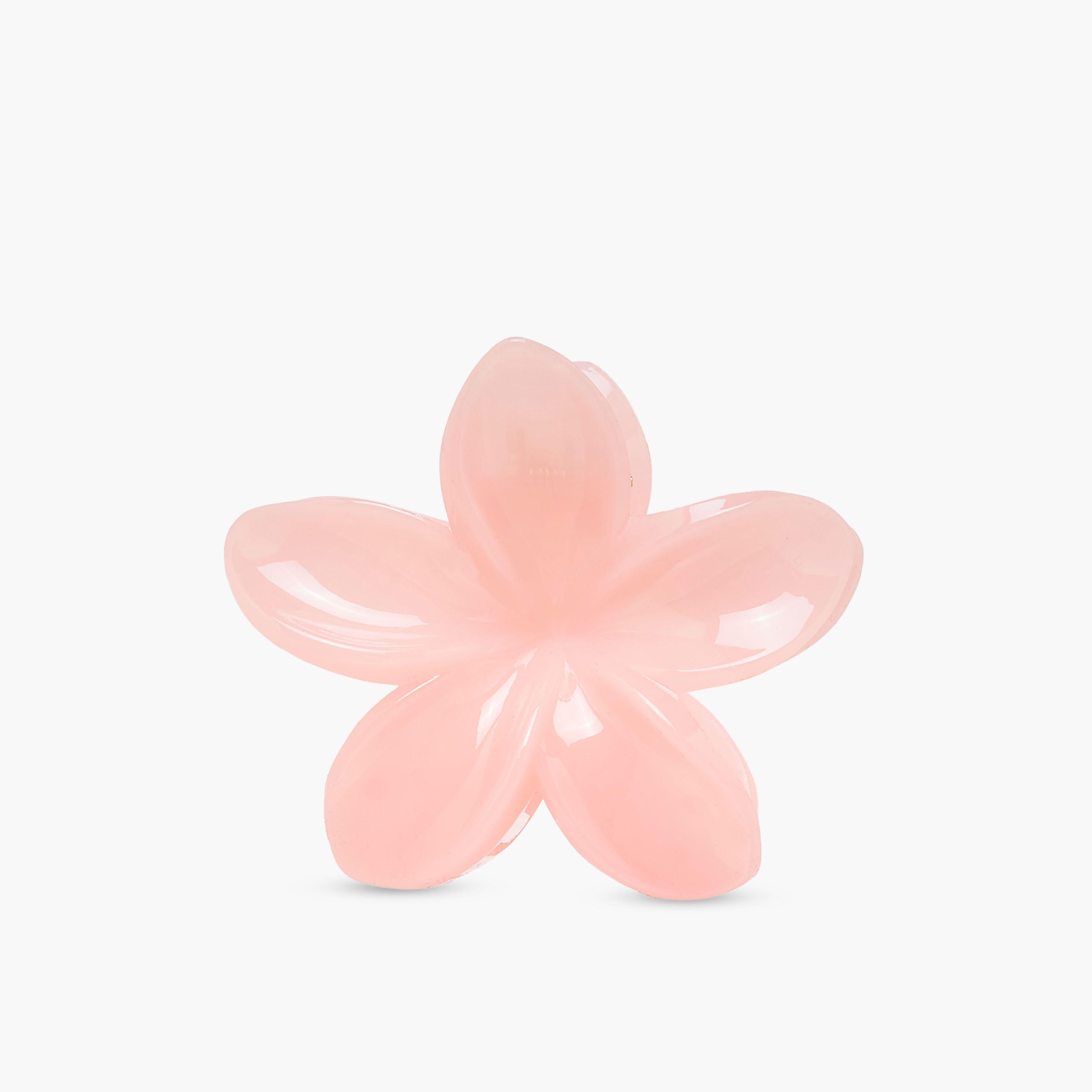 Pack of 5 Floral Hair Clamp-women-hairaccessories-clamps-image-2