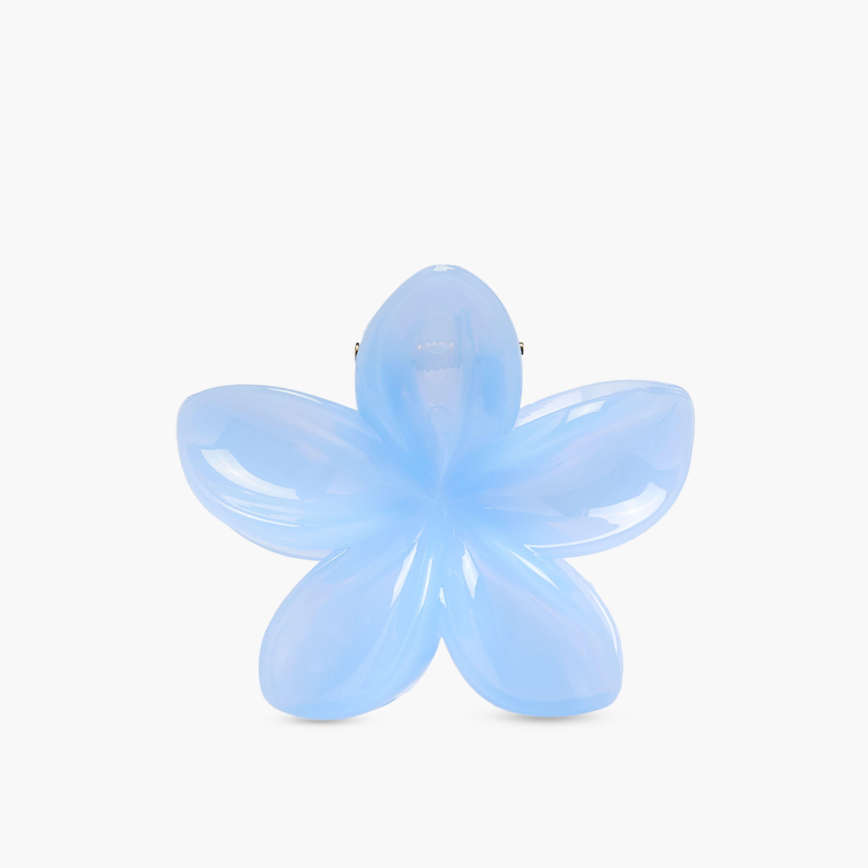 Pack of 5 Floral Hair Clamp-women-hairaccessories-clamps-image-3