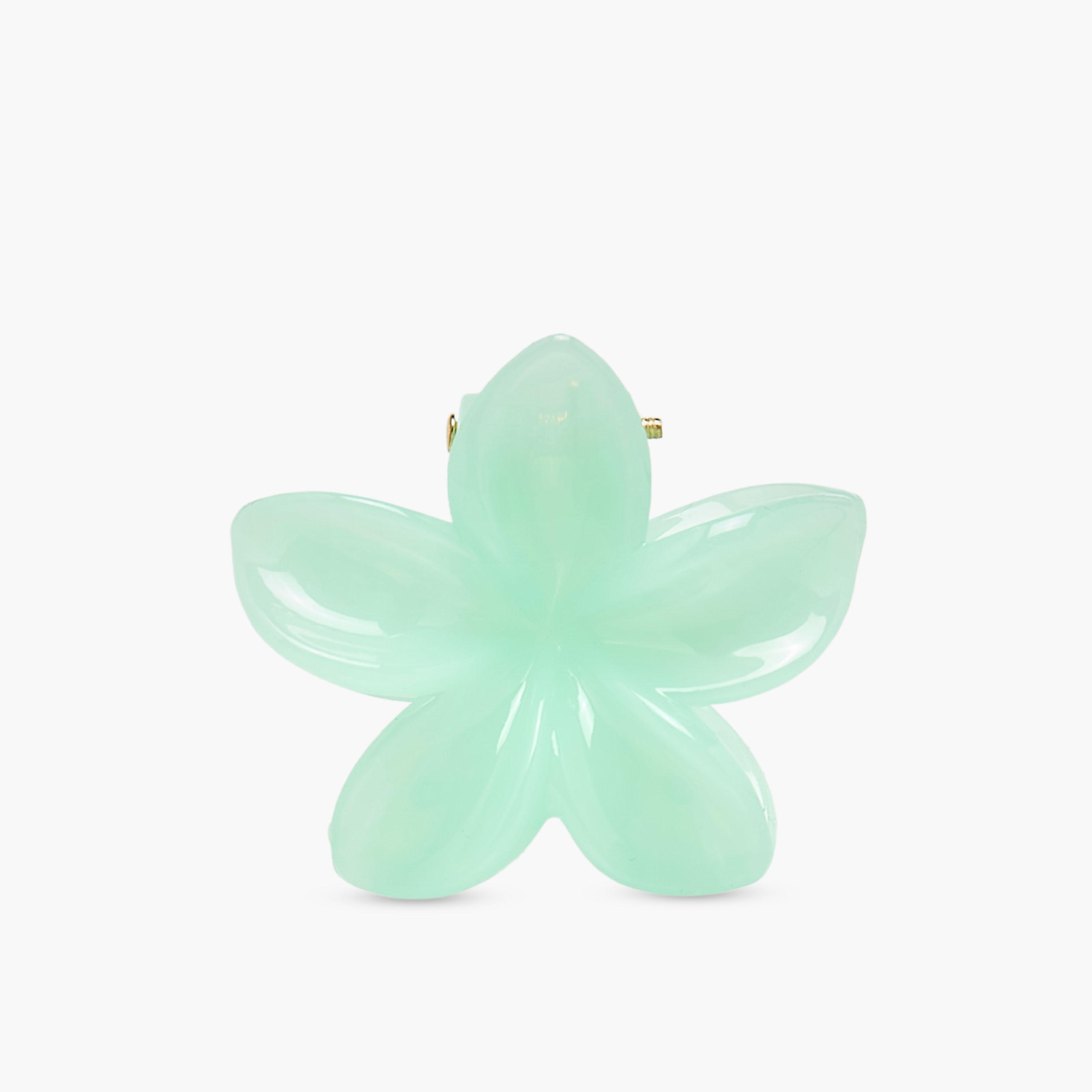 Pack of 5 Floral Hair Clamp-women-hairaccessories-clamps-image-5