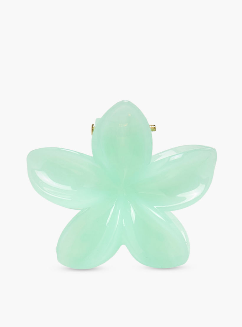 Pack of 5 Floral Hair Clamp-women-hairaccessories-clamps-image-5