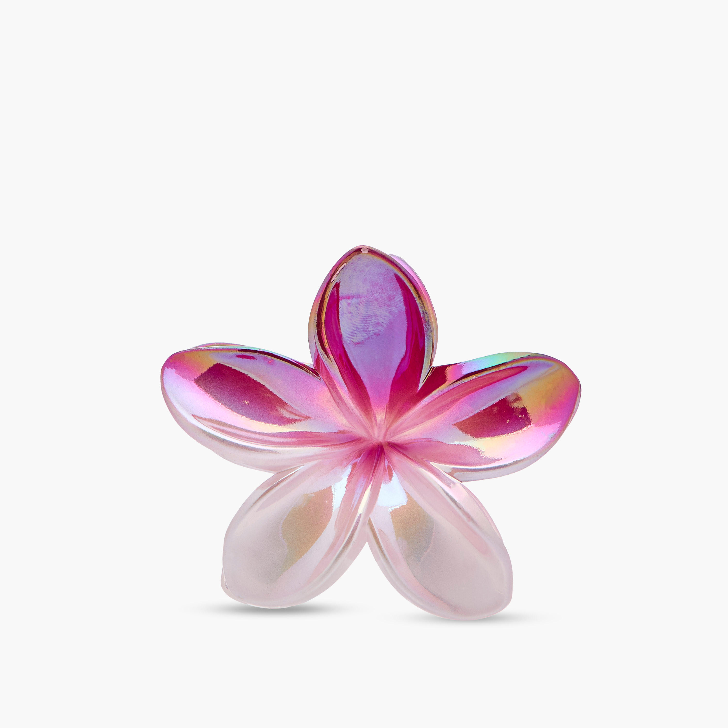 Pack of 5 Floral Hair Clamp-women-hairaccessories-clamps-image-3