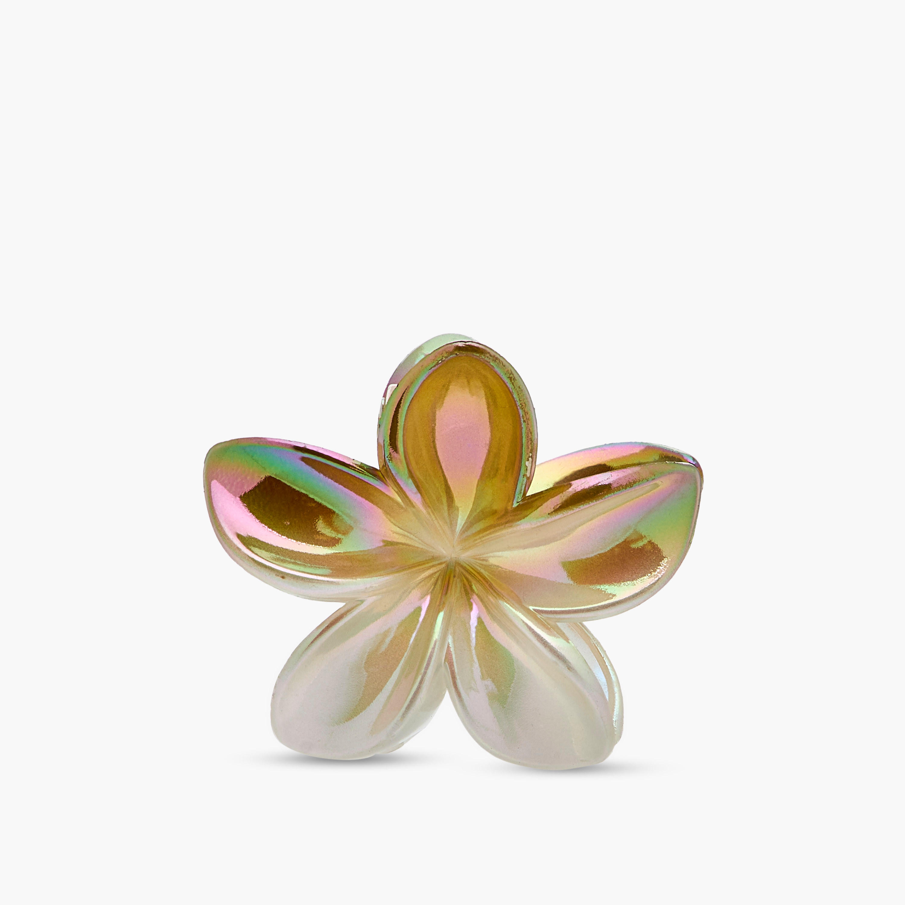 Pack of 5 Floral Hair Clamp-women-hairaccessories-clamps-image-4