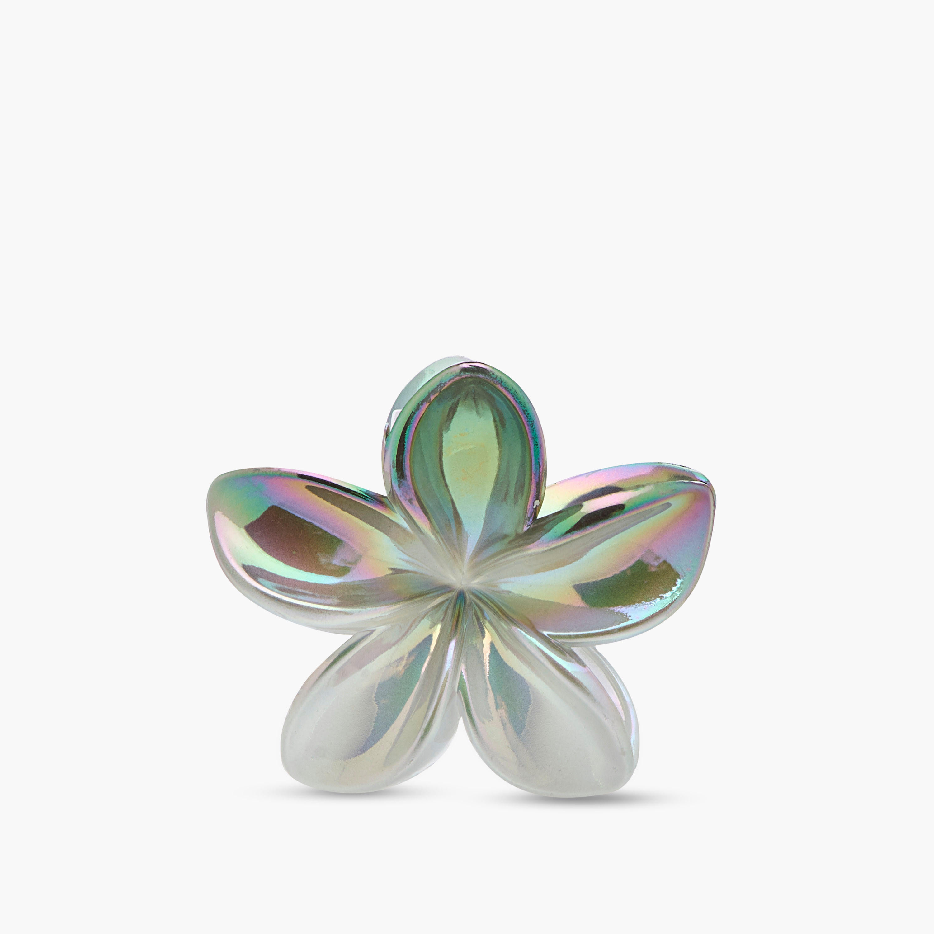 Pack of 5 Floral Hair Clamp-women-hairaccessories-clamps-image-5