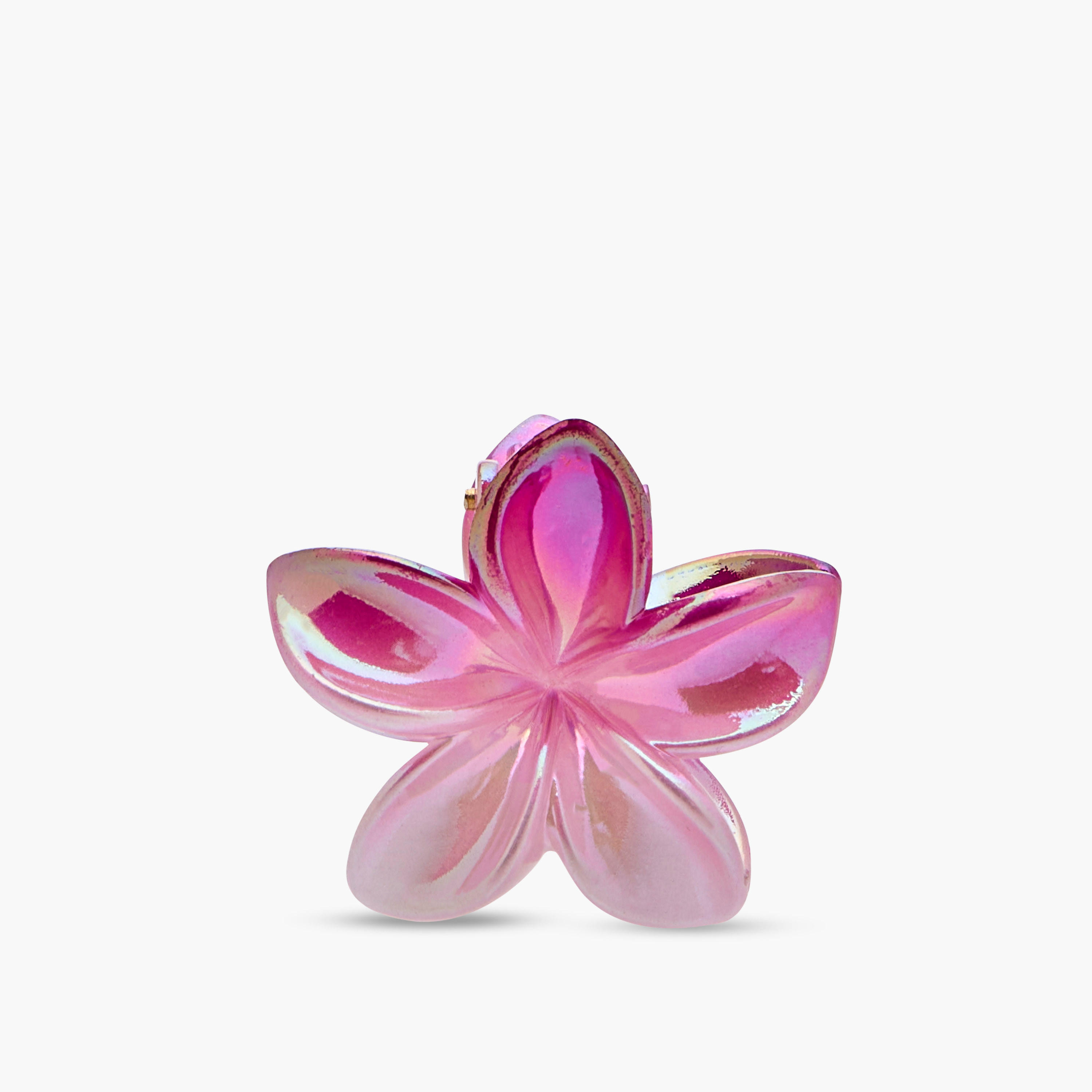 Pack of 5 Floral Hair Clamp-women-hairaccessories-clamps-image-6