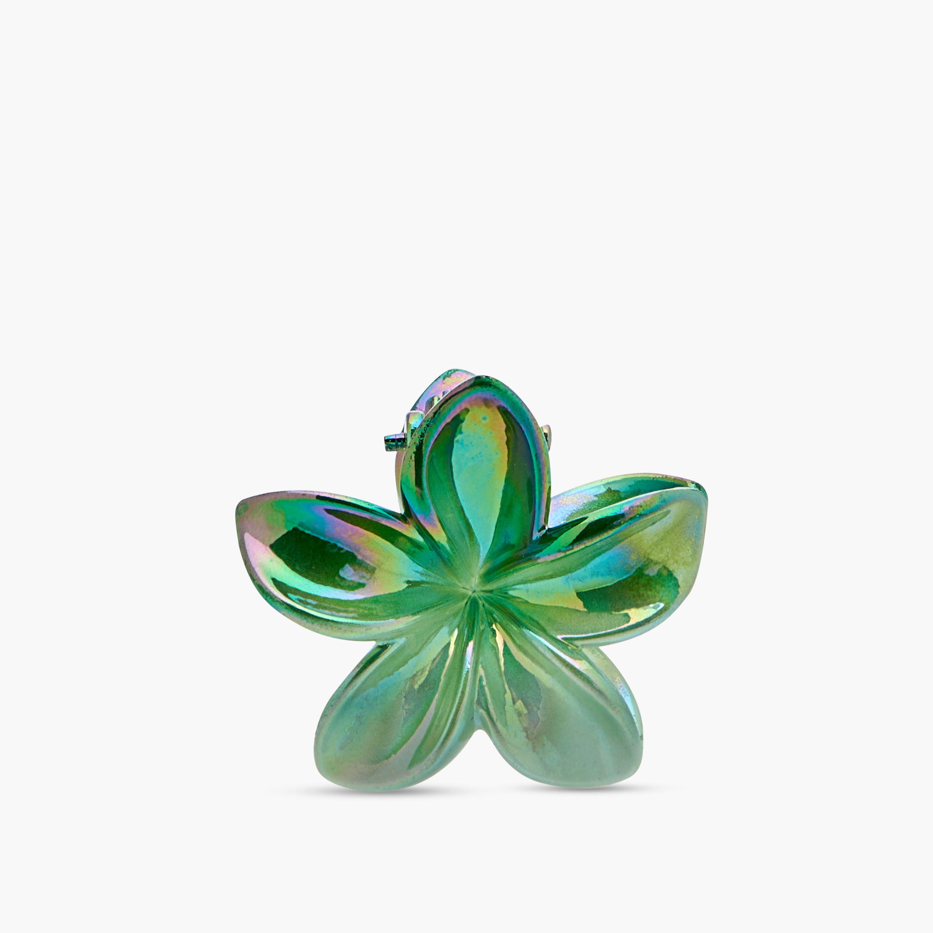 Pack of 5 Floral Hair Clamp-women-hairaccessories-clamps-image-7