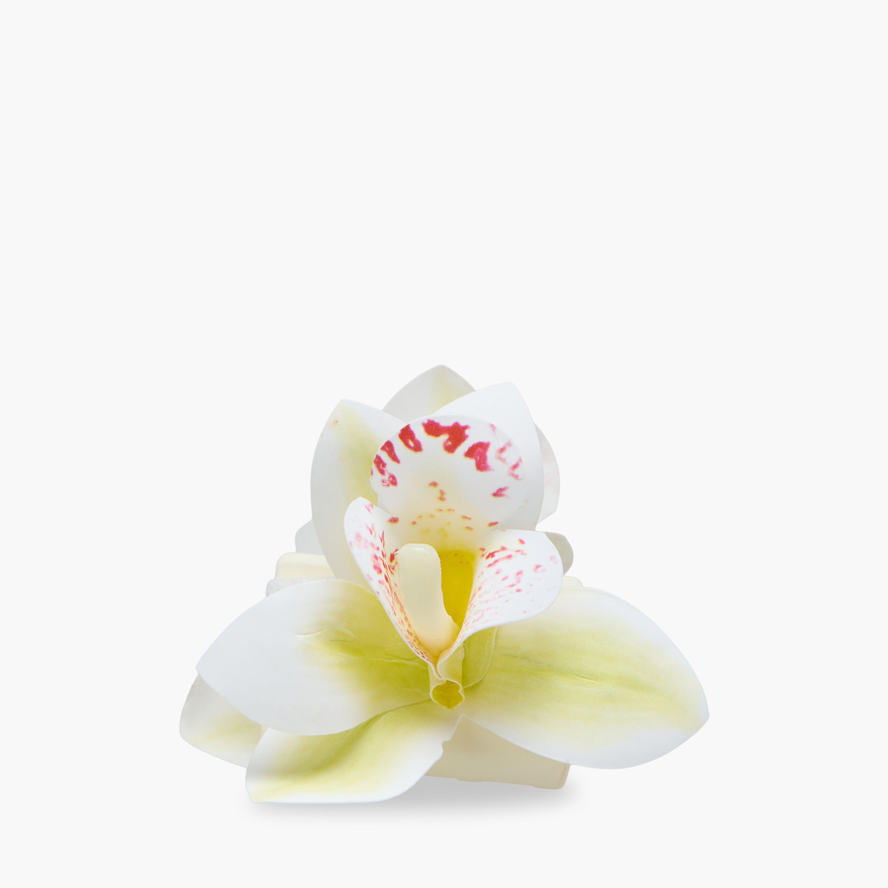 مشابك شعر بتصيمم زهرة الأوركيد وبطبعات من جلو - طقم من قطعتين-women-hairaccessories-clamps-image-2