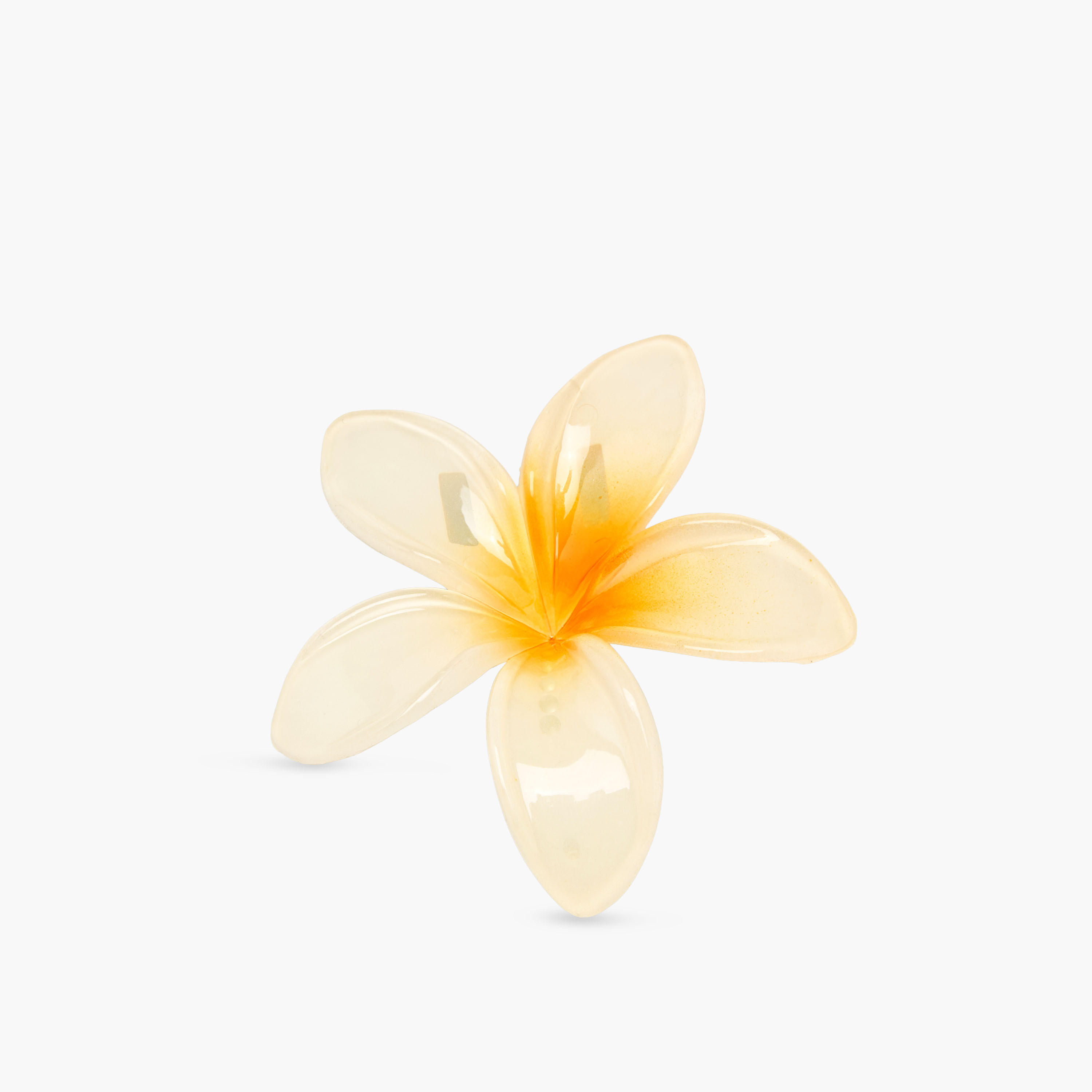 Gloo Pack of 4 Tropical Flower Shaped Hair Clamps-women-hairaccessories-clamps-image-5