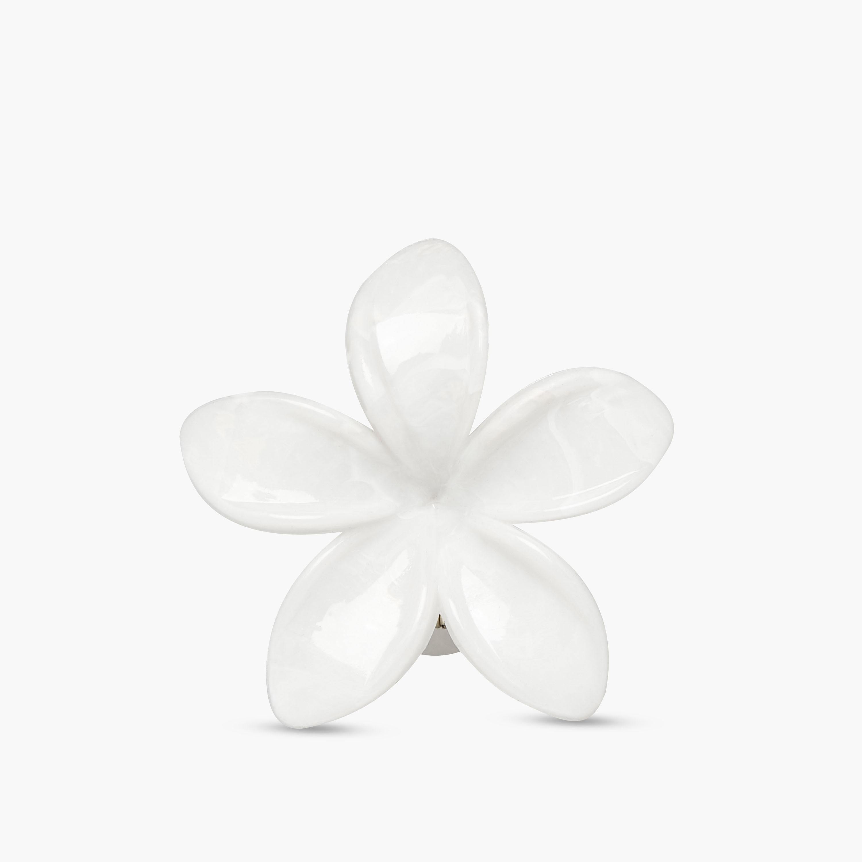 طقم مشابك شعر بشكل زهرة استوائية 4 قطع من جلو-women-hairaccessories-clamps-image-4