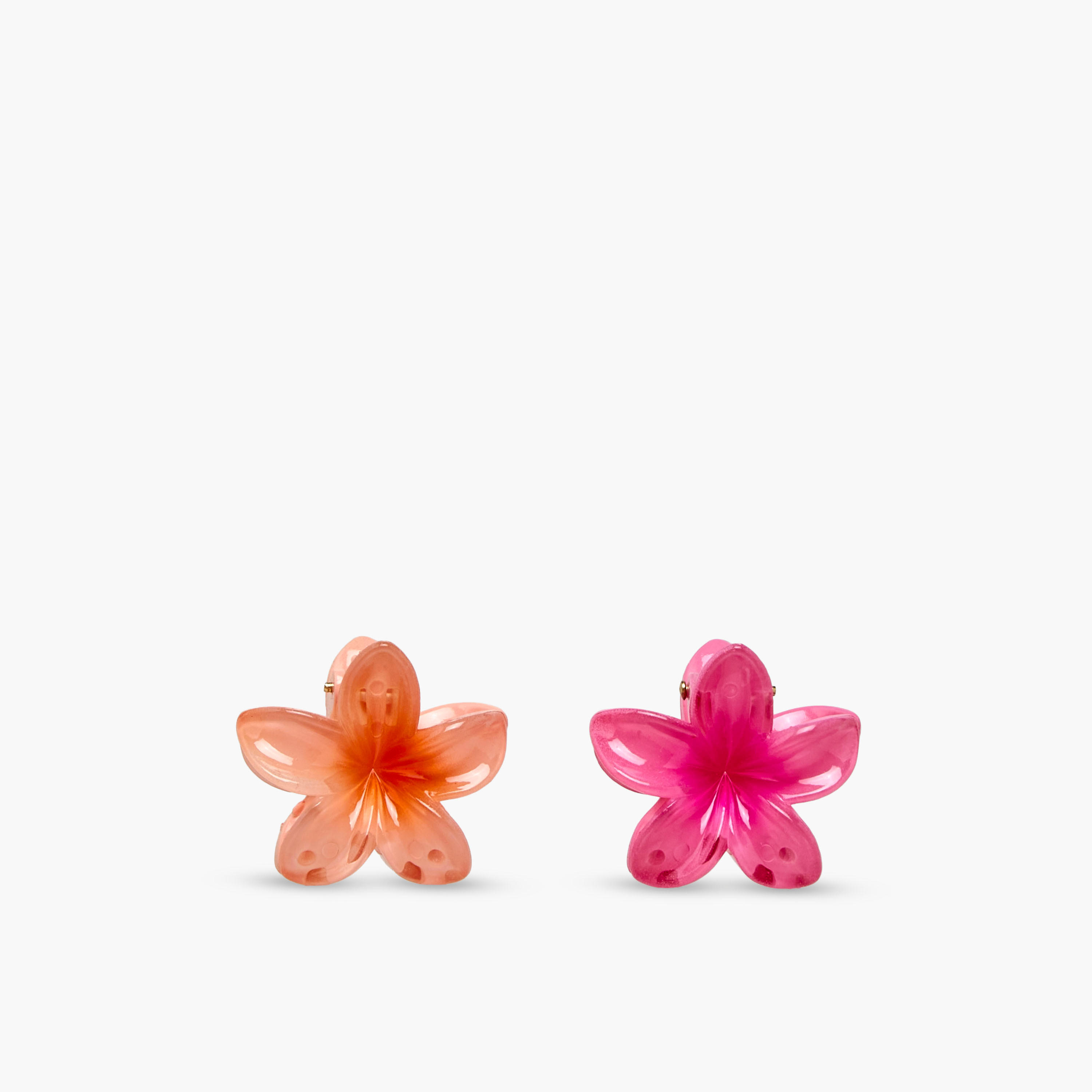 Pack of 6 Floral Hair Clamps-women-hairaccessories-clamps-image-3