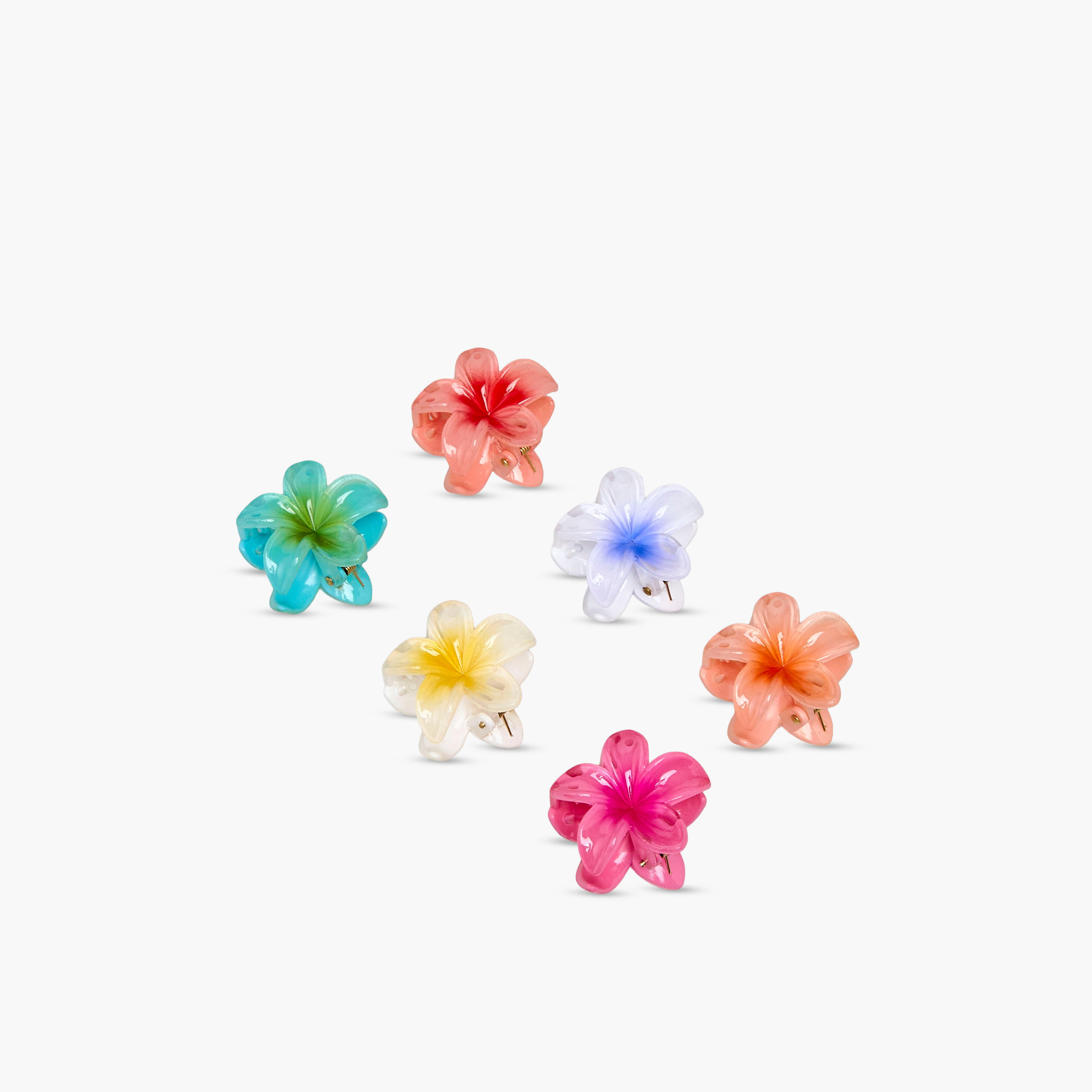 Pack of 6 Floral Hair Clamps-women-hairaccessories-clamps-image-5