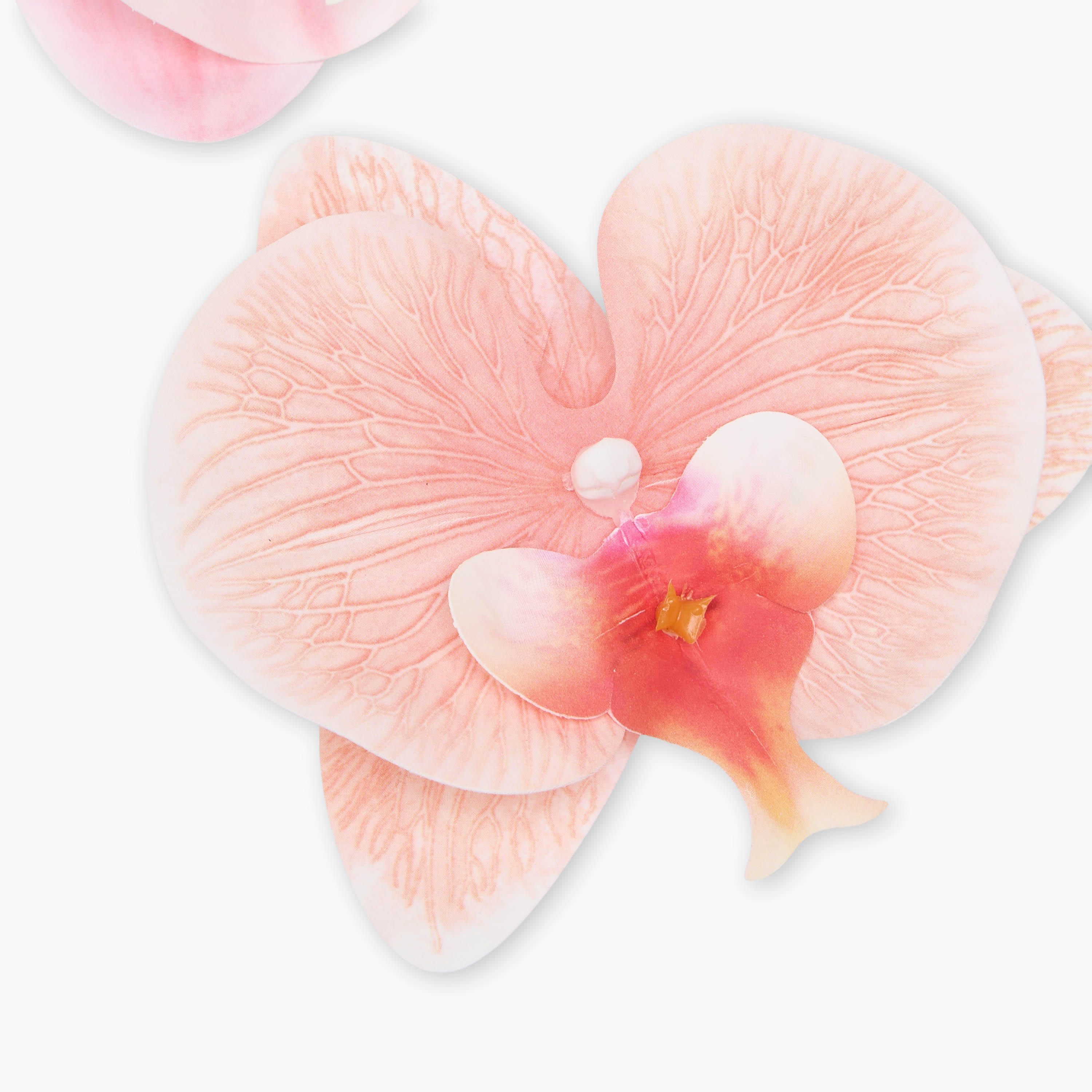 Pack of 2 Floral Shaped Hair Clip-women-hairaccessories-clips-image-5