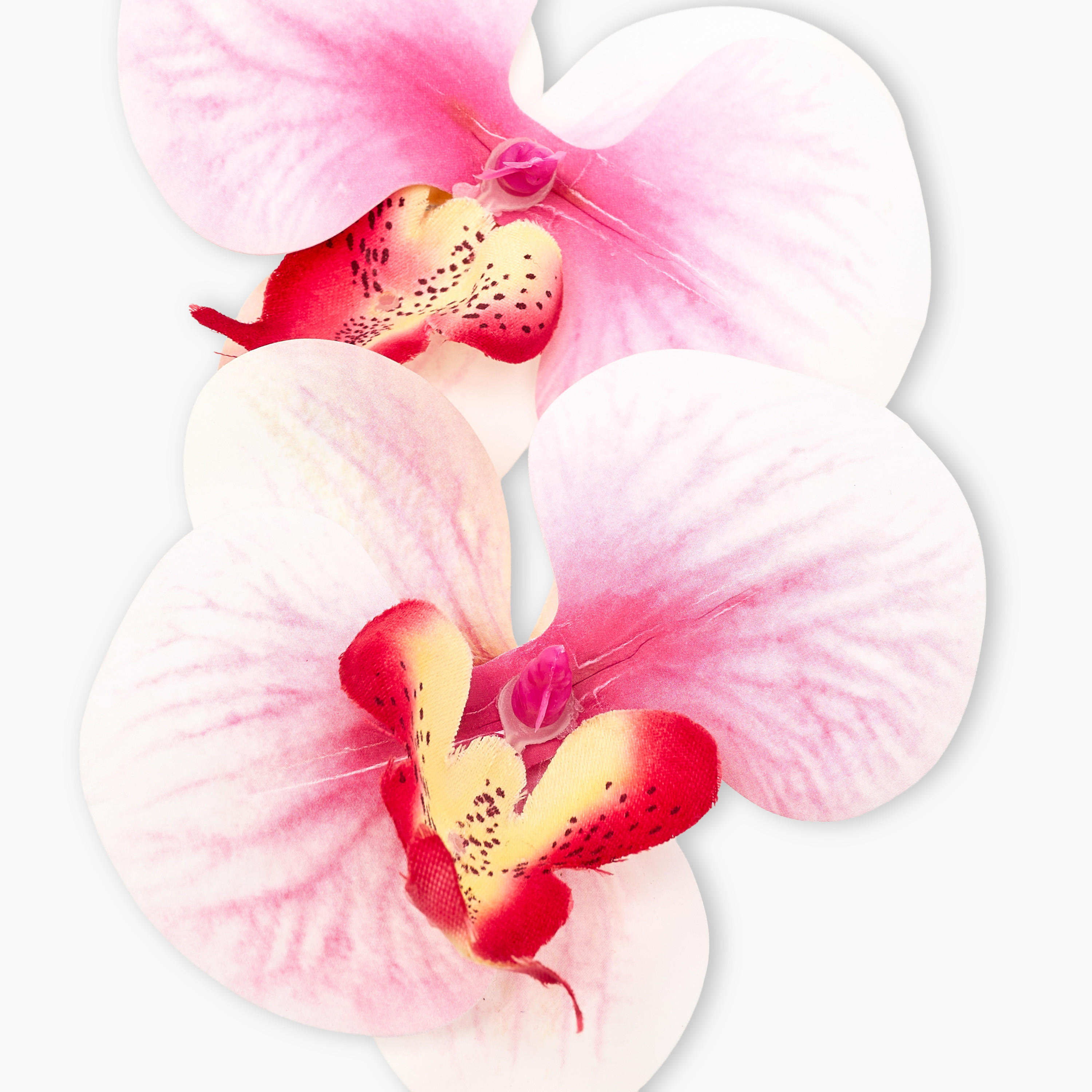 طقم مشابك شعر بشكل زهرة من قطعتين-women-hairaccessories-clips-image-3
