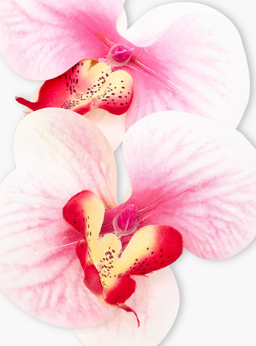 طقم مشابك شعر بشكل زهرة من قطعتين-women-hairaccessories-clips-image-3