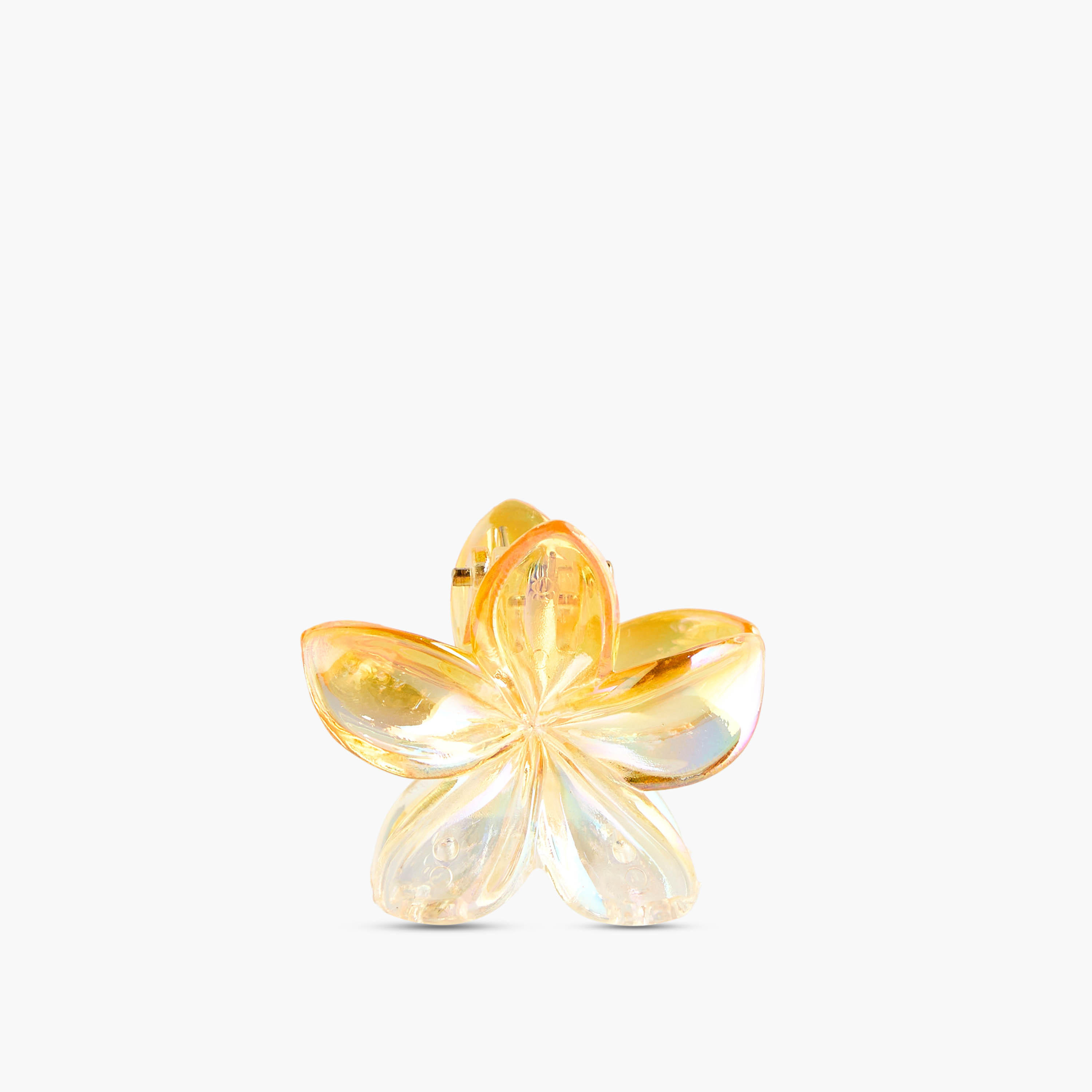 Pack of 5 - Floral Hair Clamp-women-hairaccessories-clamps-image-7