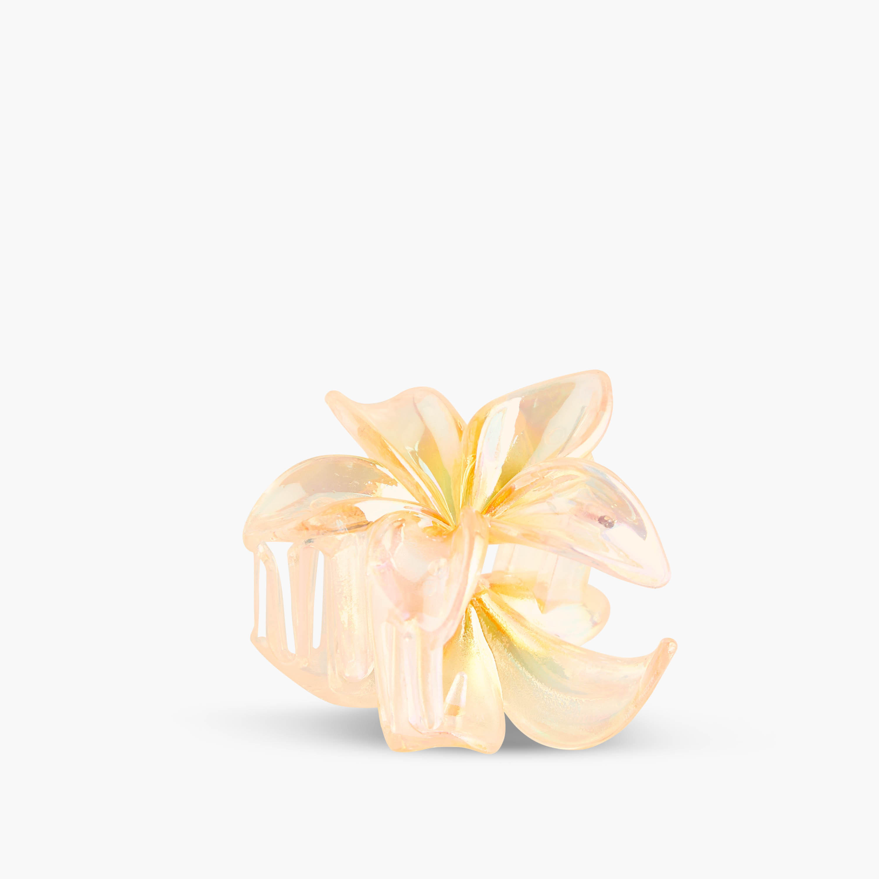 Pack of 5 - Floral Hair Clamp-women-hairaccessories-clamps-image-9