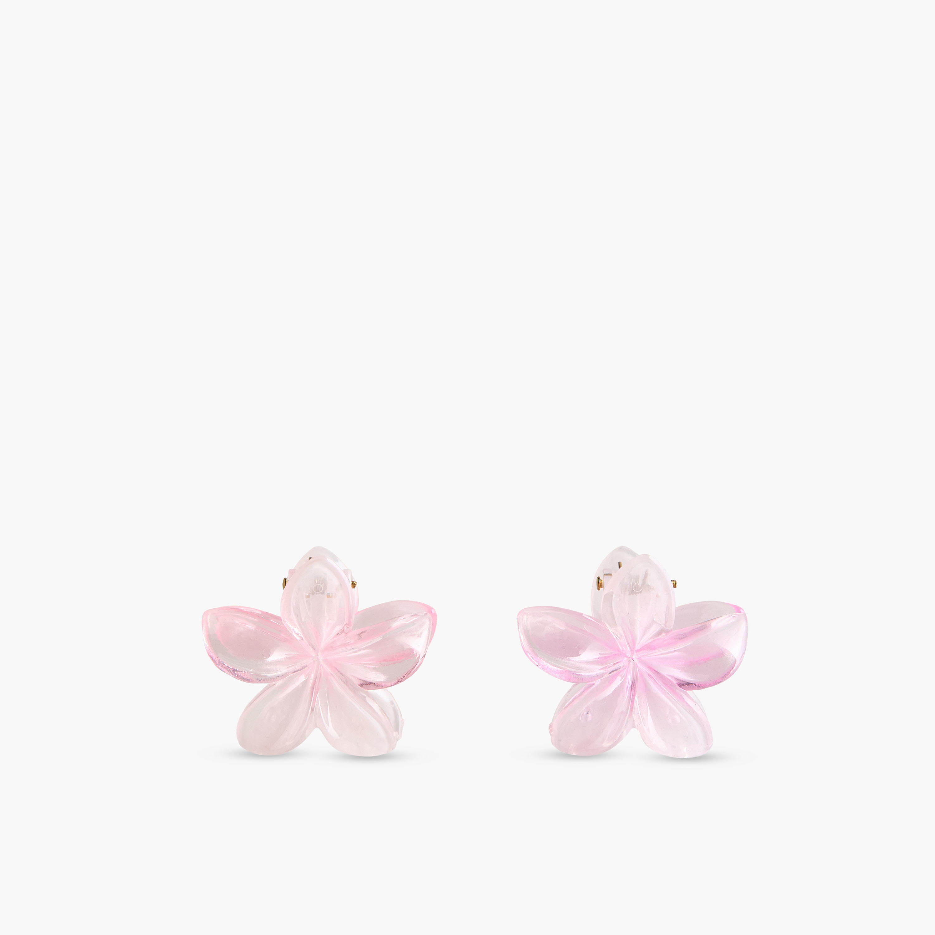 Pack of 6 Floral Hair Clamps-women-hairaccessories-clamps-image-3
