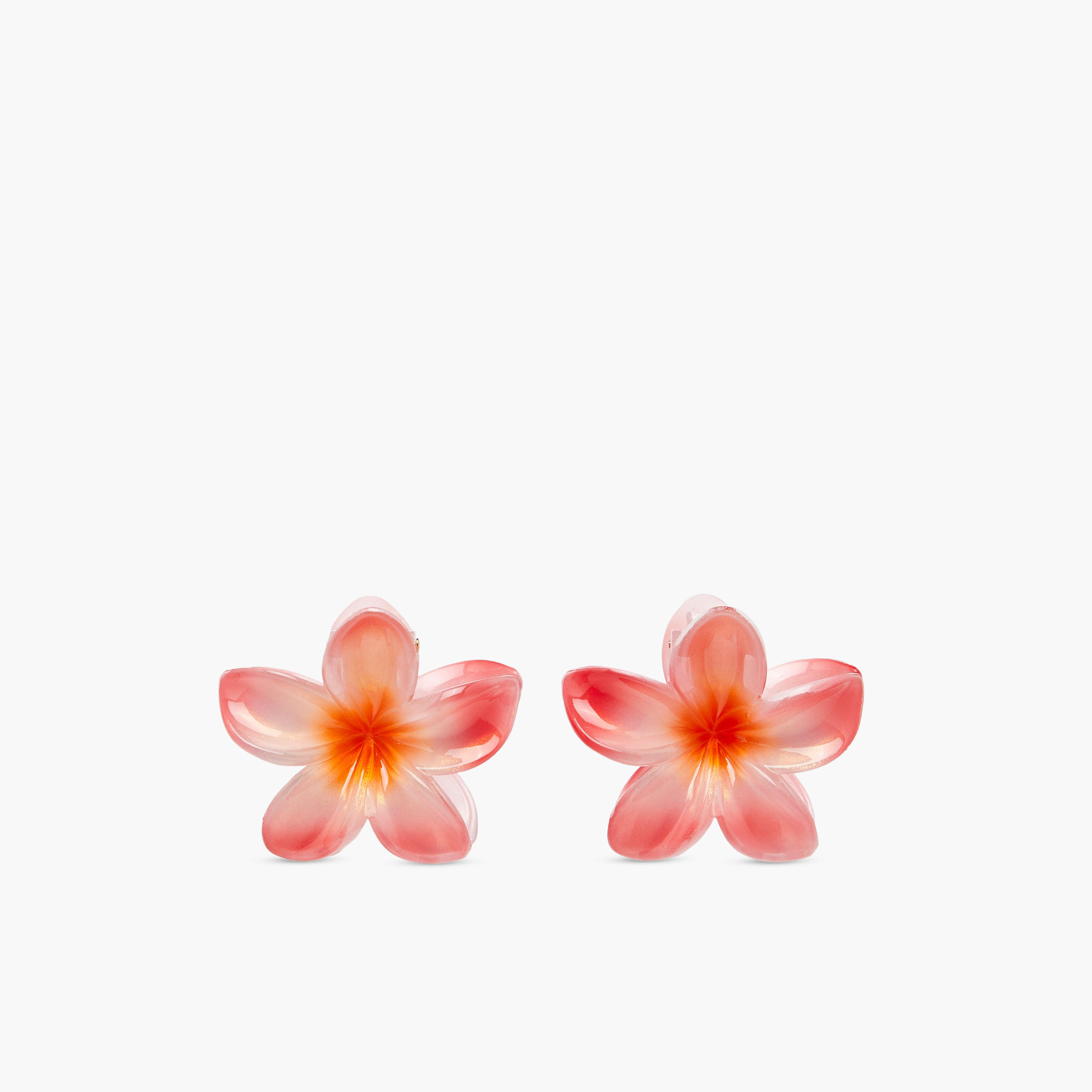 Pack of 5 Floral Hair Clamps-women-hairaccessories-clips-image-3