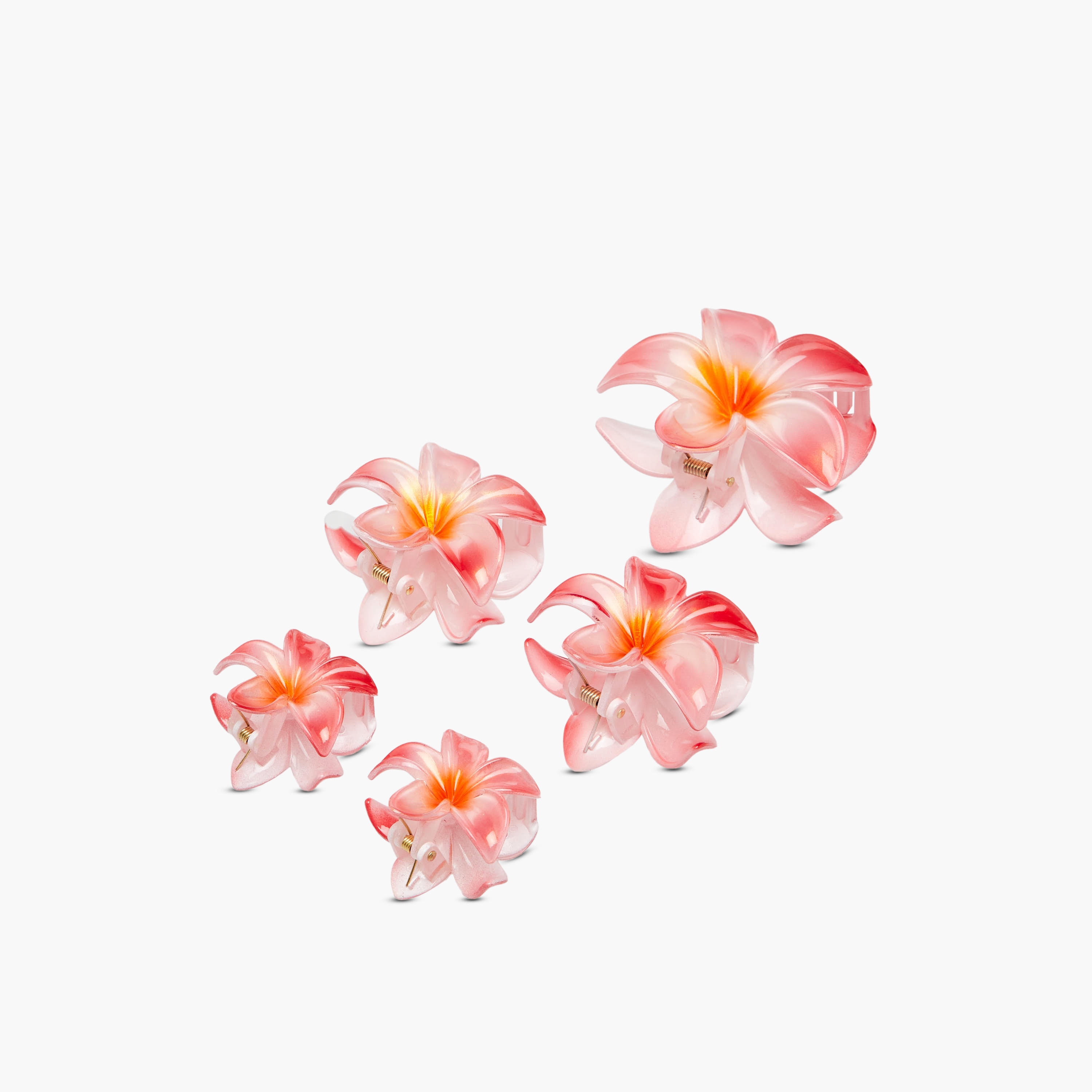 Pack of 5 Floral Hair Clamps-women-hairaccessories-clips-image-6