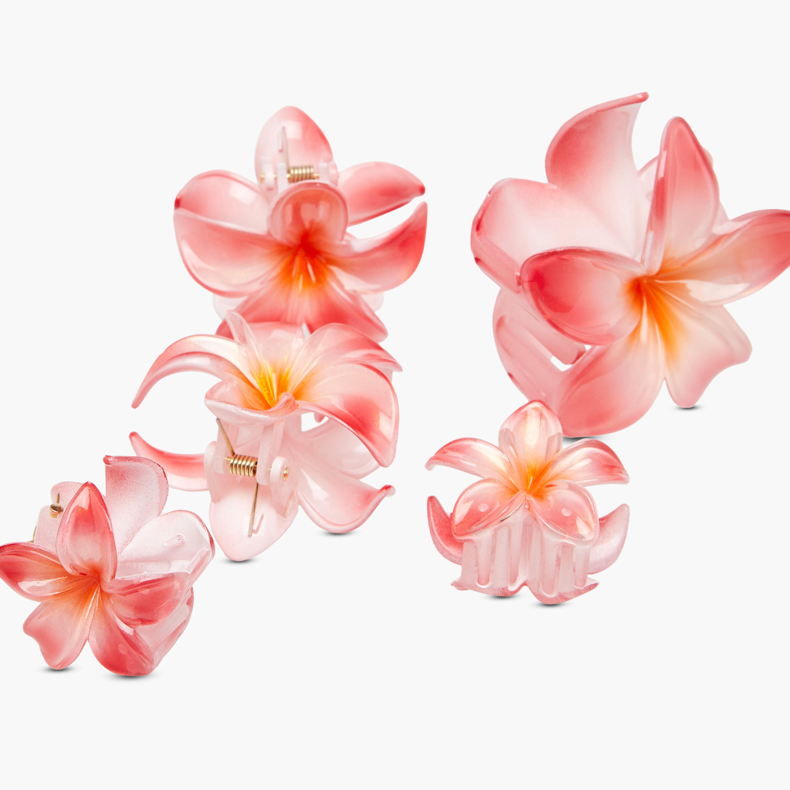 Pack of 5 Floral Hair Clamps-women-hairaccessories-clips-image-7