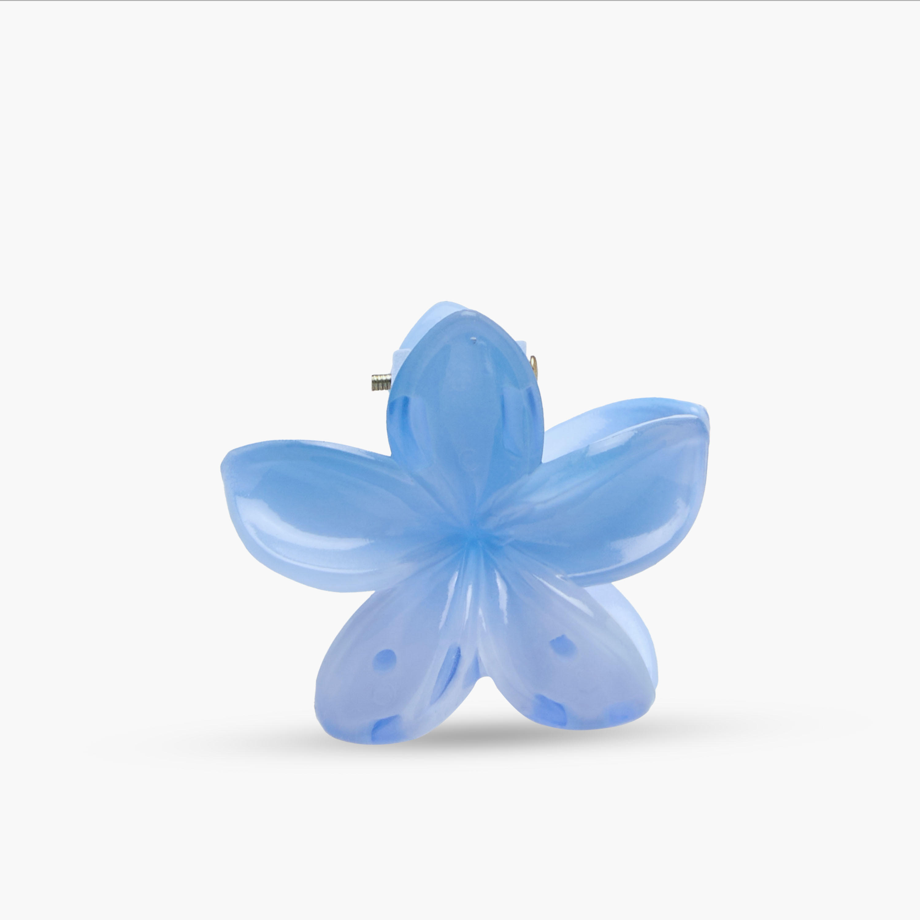 Pack of 5 Floral Hair Clamps-women-hairaccessories-clips-image-6