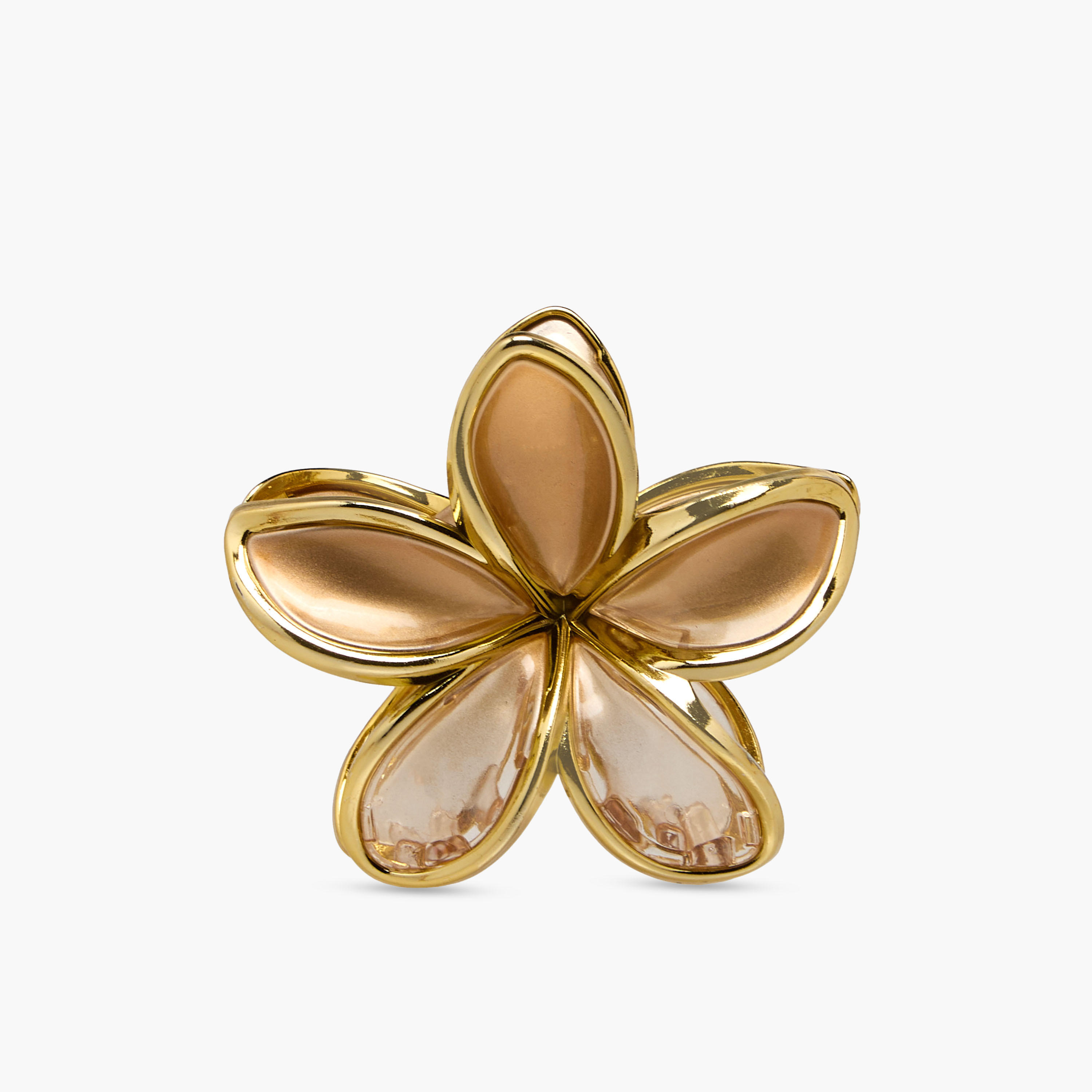 Pack of 2 Floral Hair Clamp with Metallic Trim-women-hairaccessories-clamps-image-2