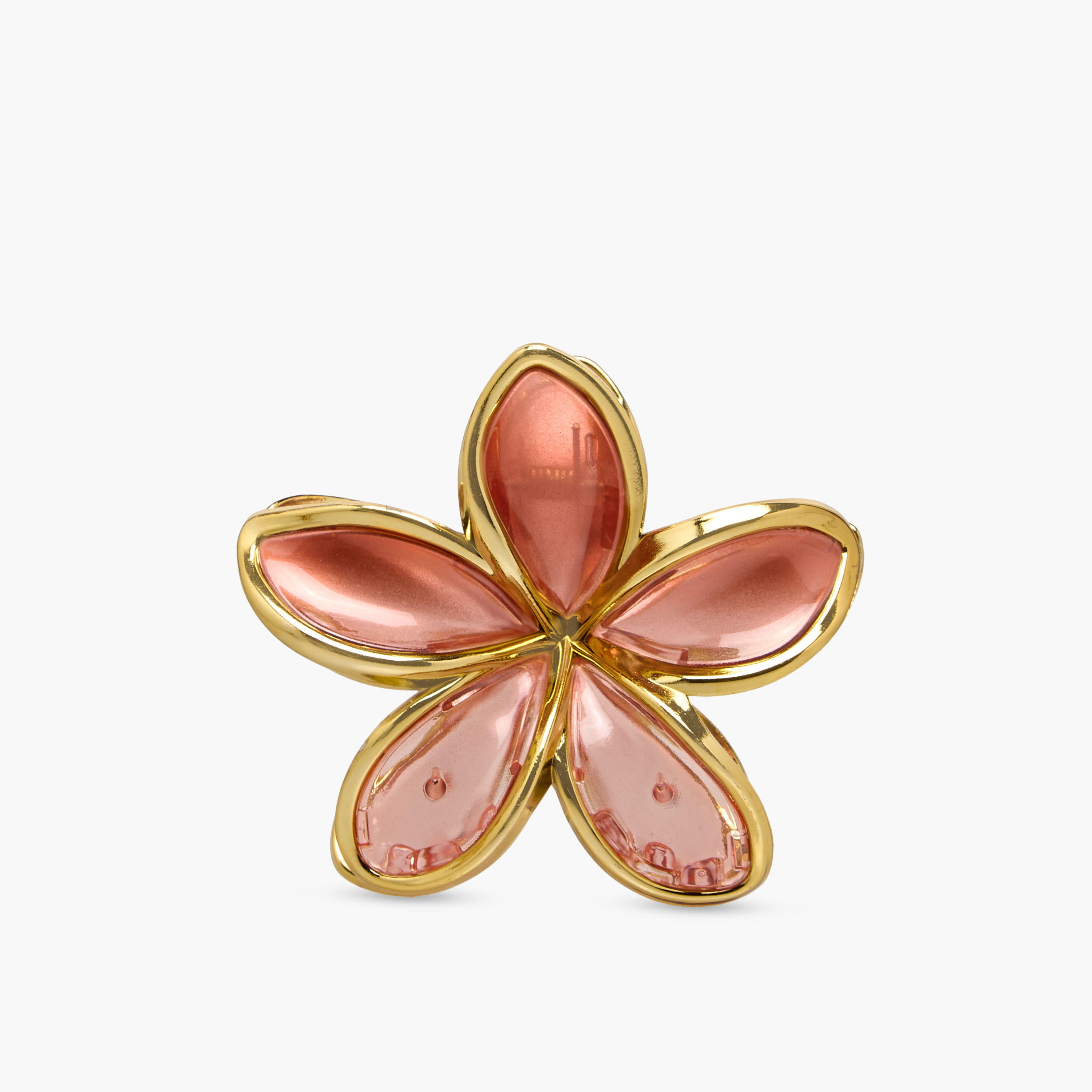 Pack of 2 Floral Hair Clamp with Metallic Trim-women-hairaccessories-clamps-image-4