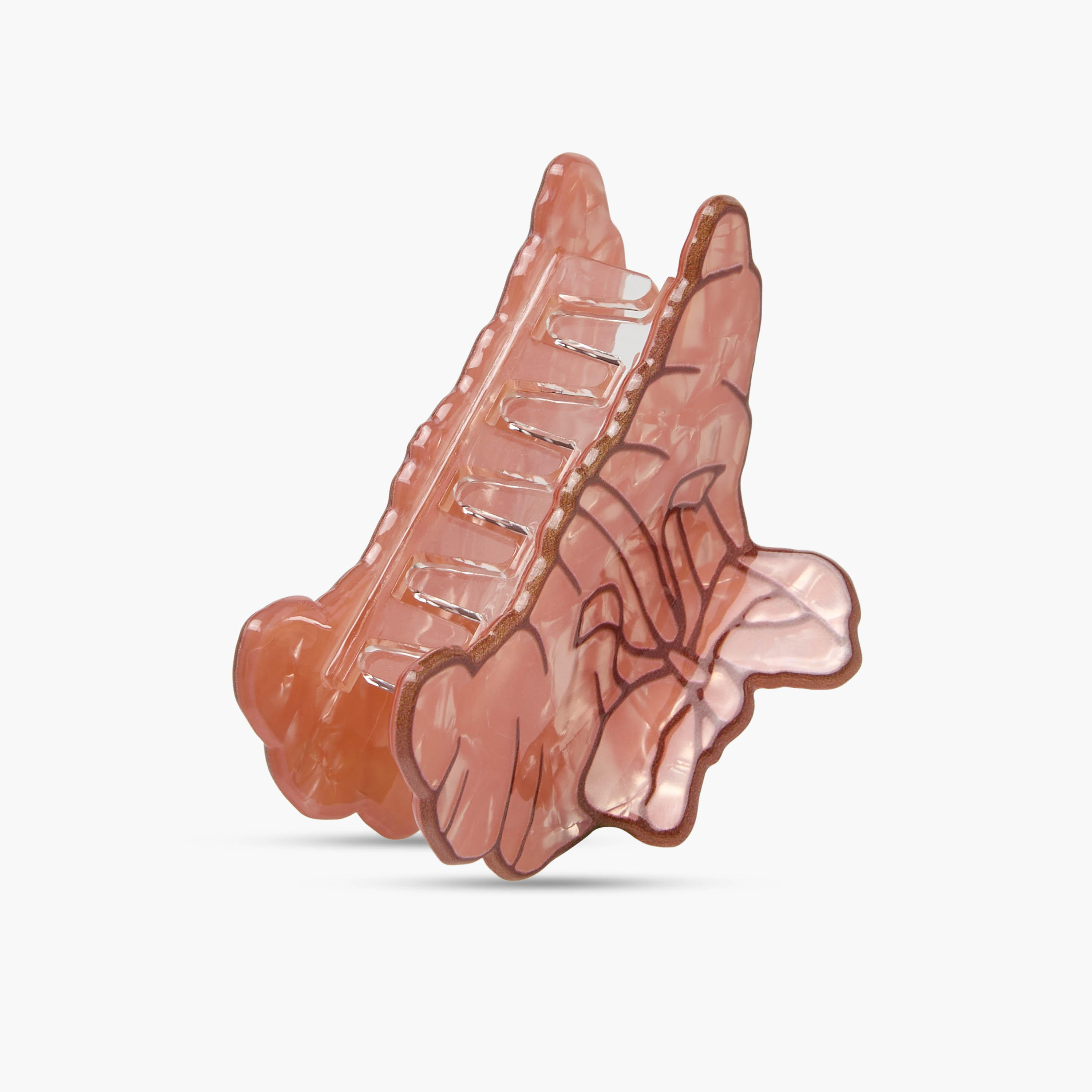 Pack of 2 Assorted Hair Clamp with Glossy Finish-women-hairaccessories-clamps-image-6