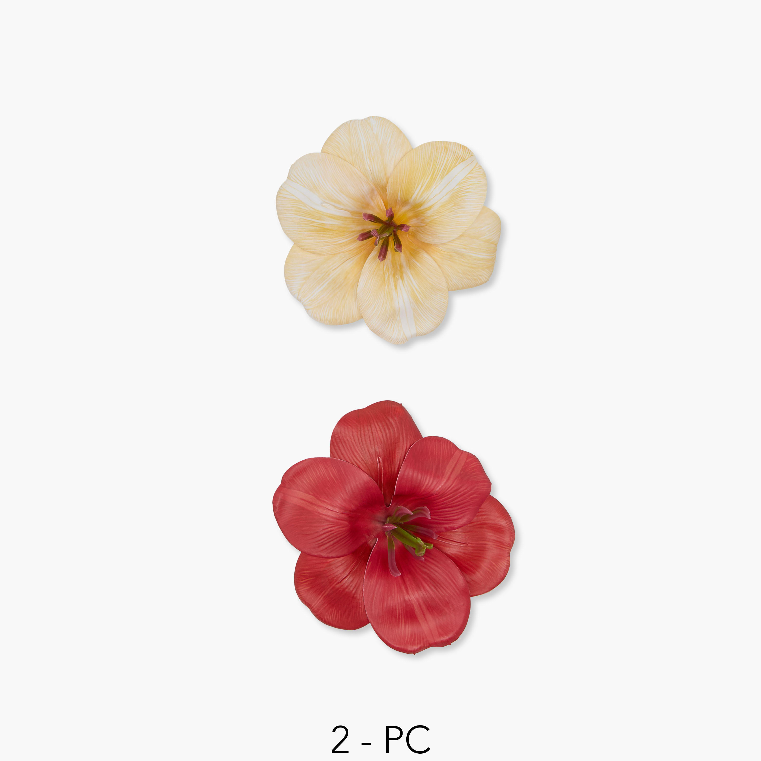 Pack of 2 Floral Shape Hair Clips with Print-women-hairaccessories-clips-image-1