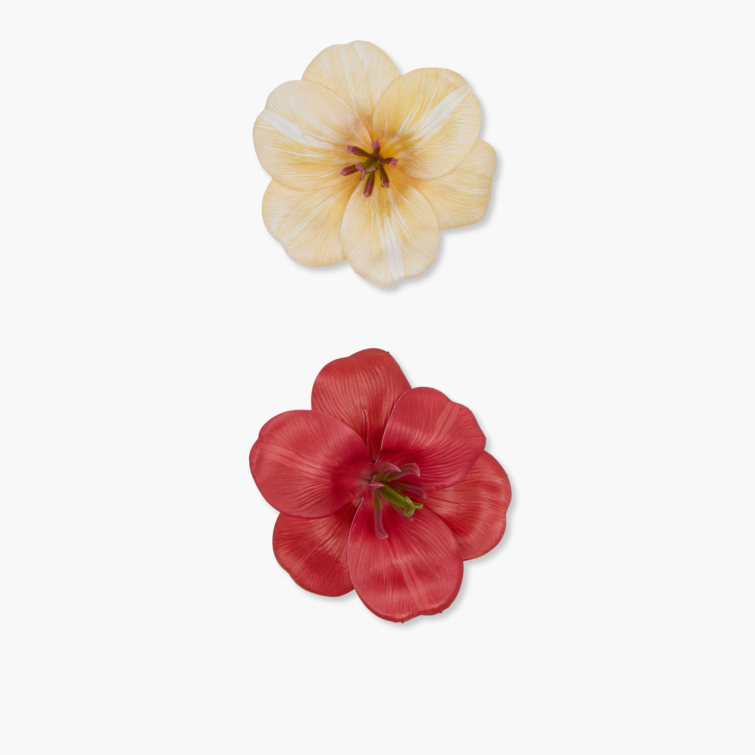 Pack of 2 Floral Shape Hair Clips with Print-women-hairaccessories-clips-image-2
