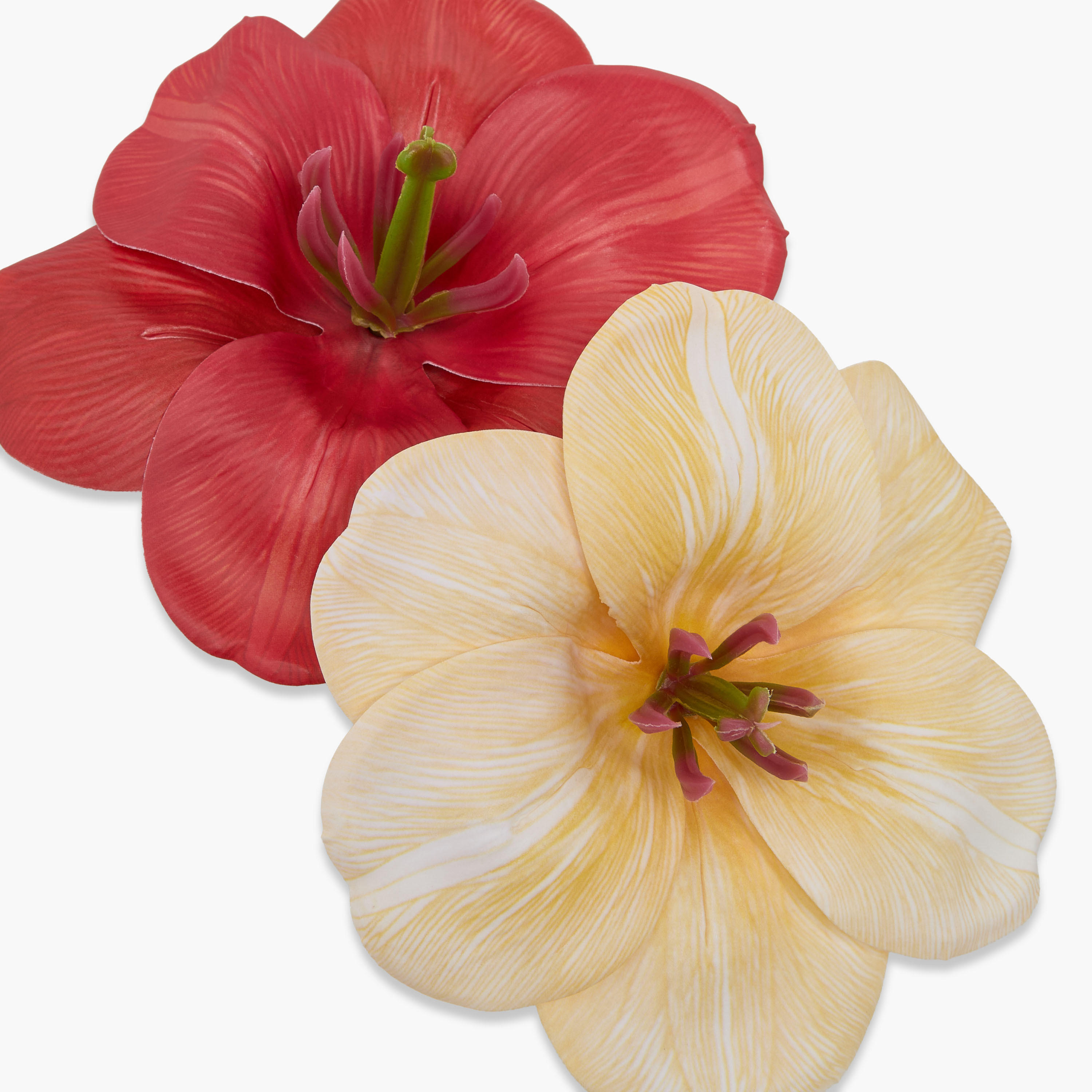 Pack of 2 Floral Shape Hair Clips with Print-women-hairaccessories-clips-image-5