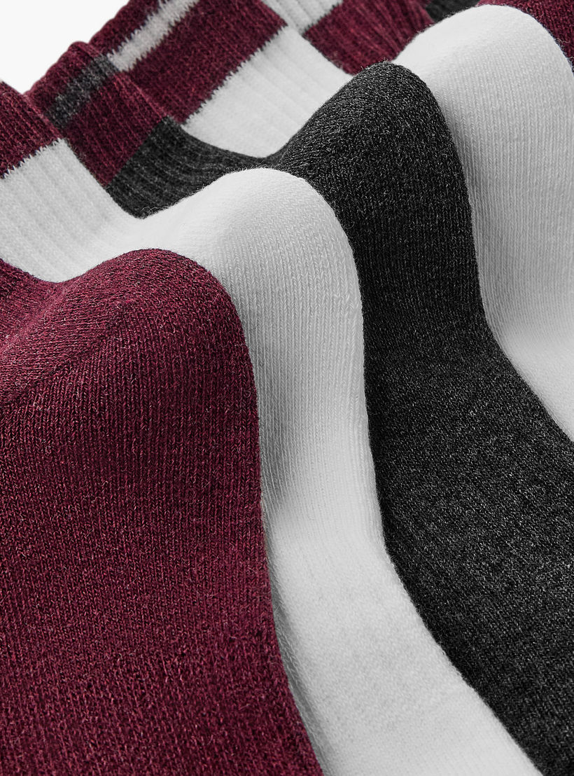 Pack of 3 Ankle Length Cotton Socks-women-socksandstockings-image-4