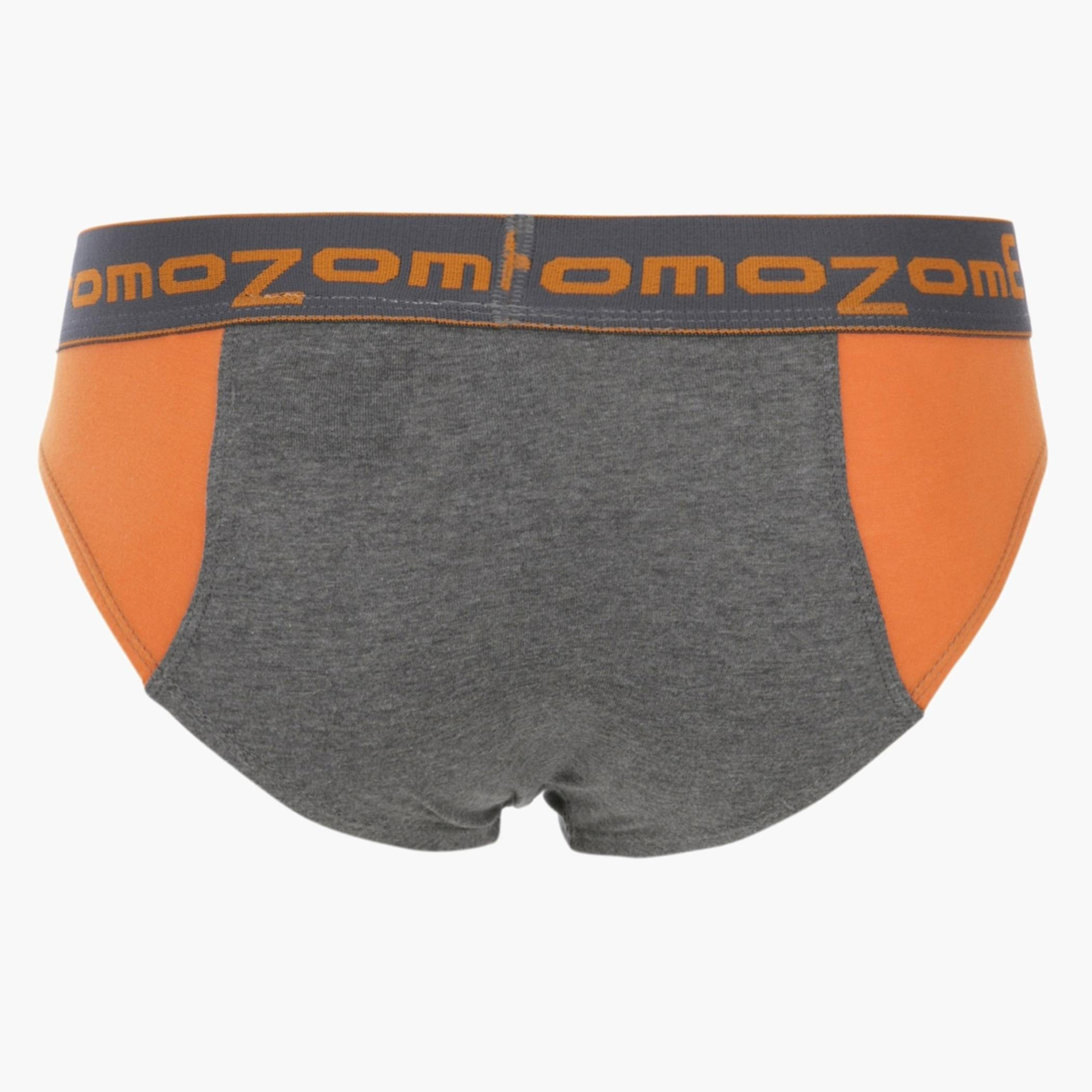 Basic Briefs-men-clothing-innerwear-underwear-image-2